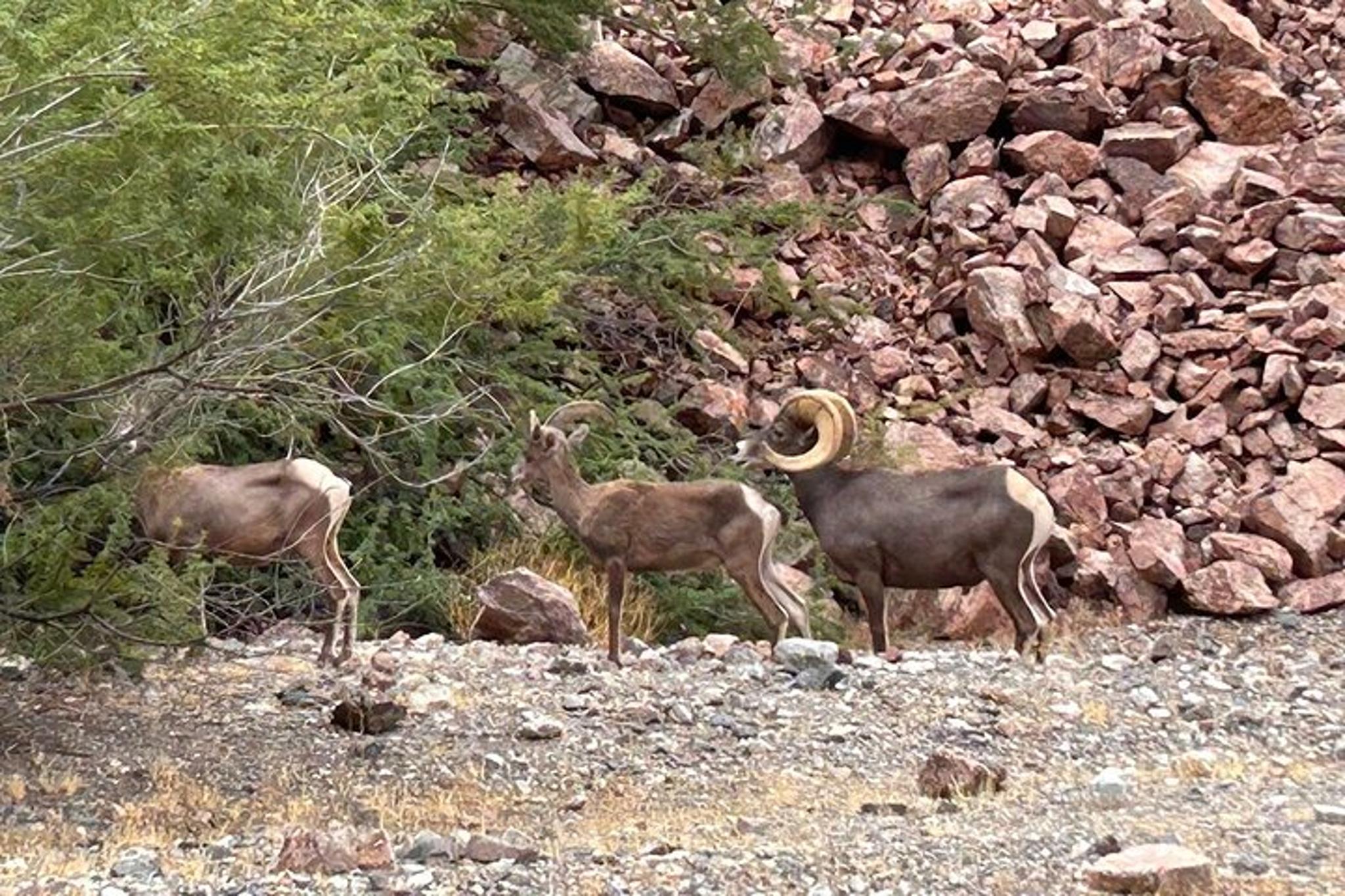 Willow Beach Emerald Cave Kayak Rental 3 hr - Image 3