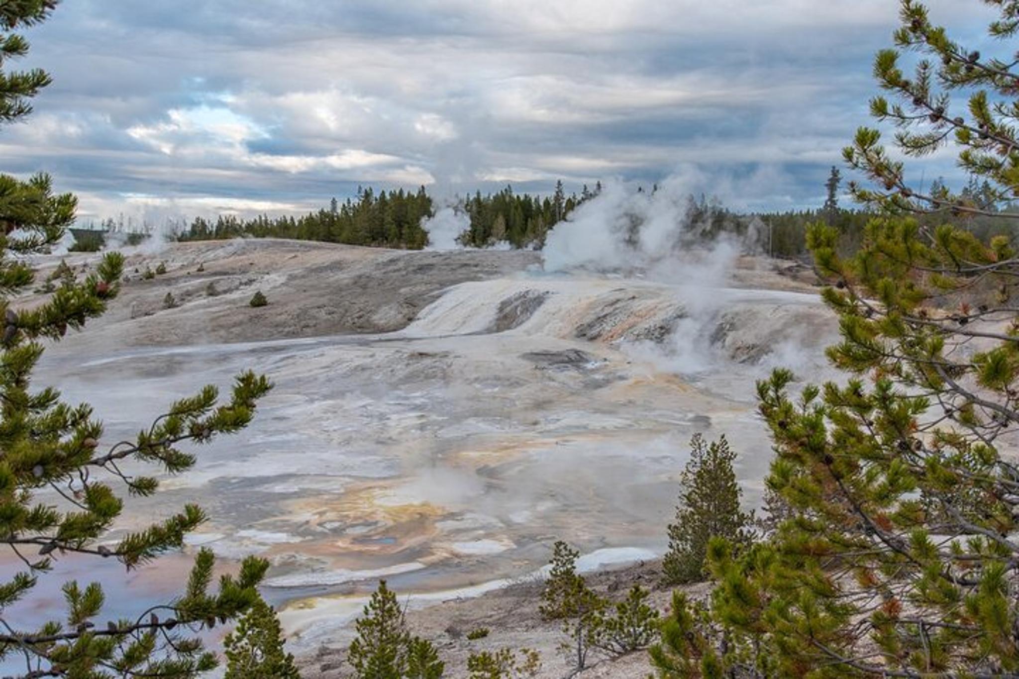 Yellowstone Wildlife and Scenic Sites Private Tour - Image 2