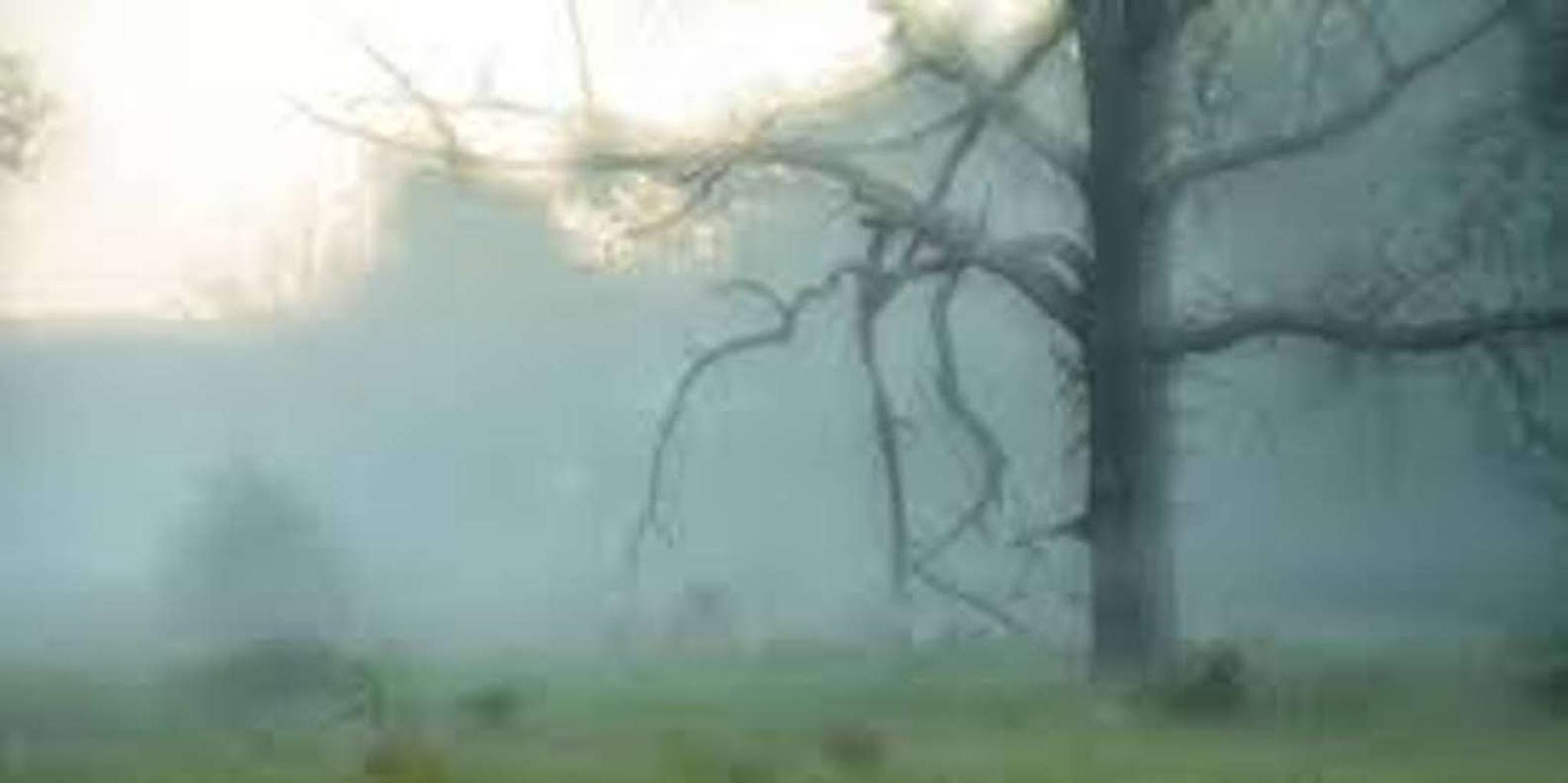 Gettysburg Paranormal Investigation at Farnsworth Inn 2 hr - Image 3
