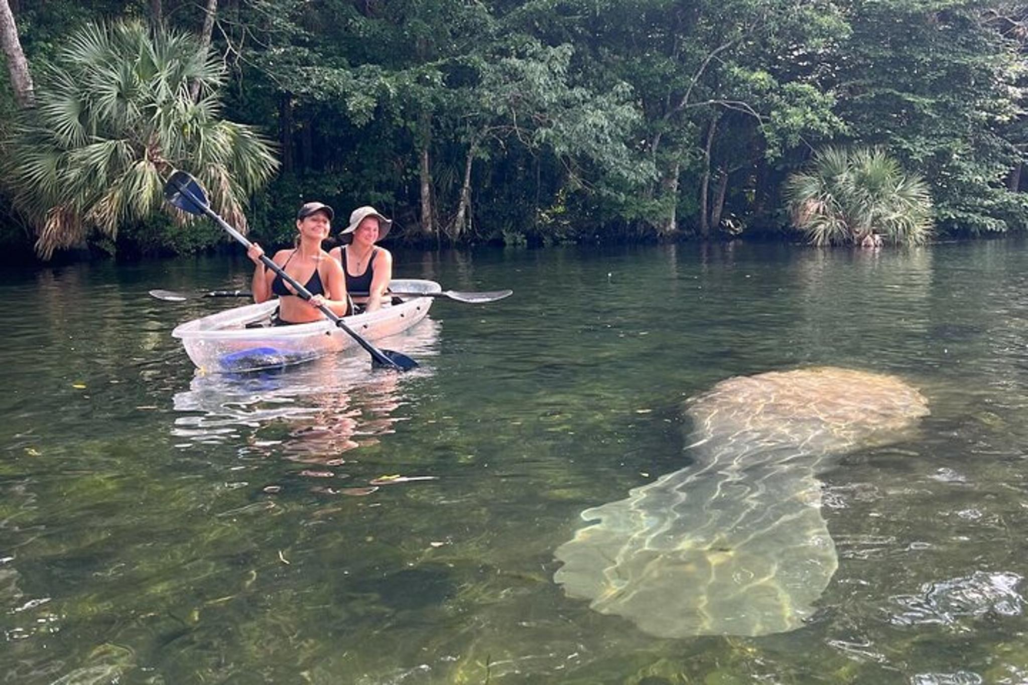 Chassahowitzka River Clear Kayak Tour