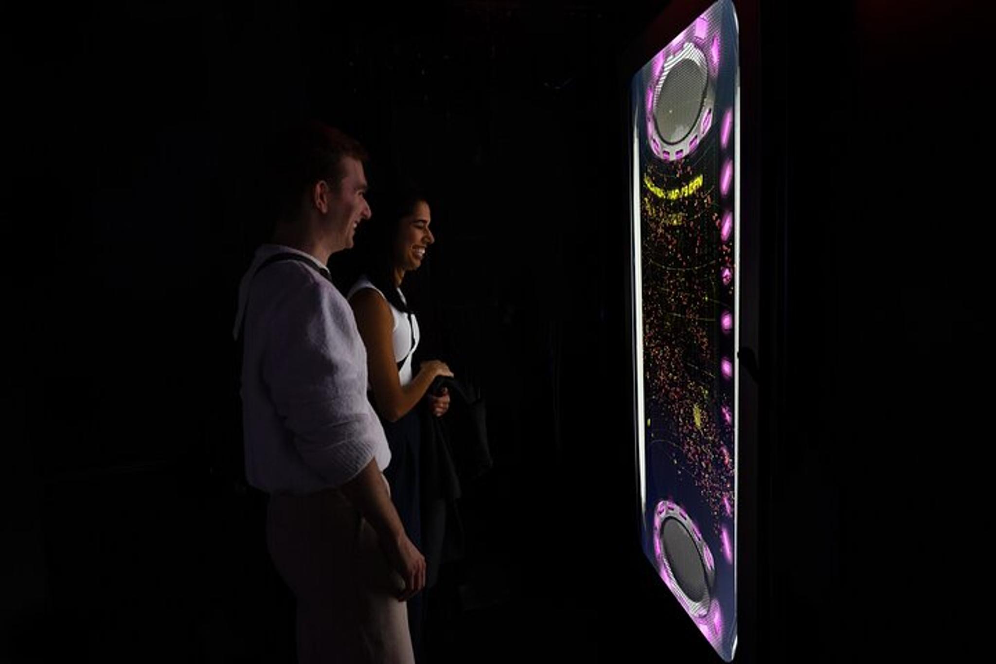 Washington DC Immersive Art Experience - Image 3