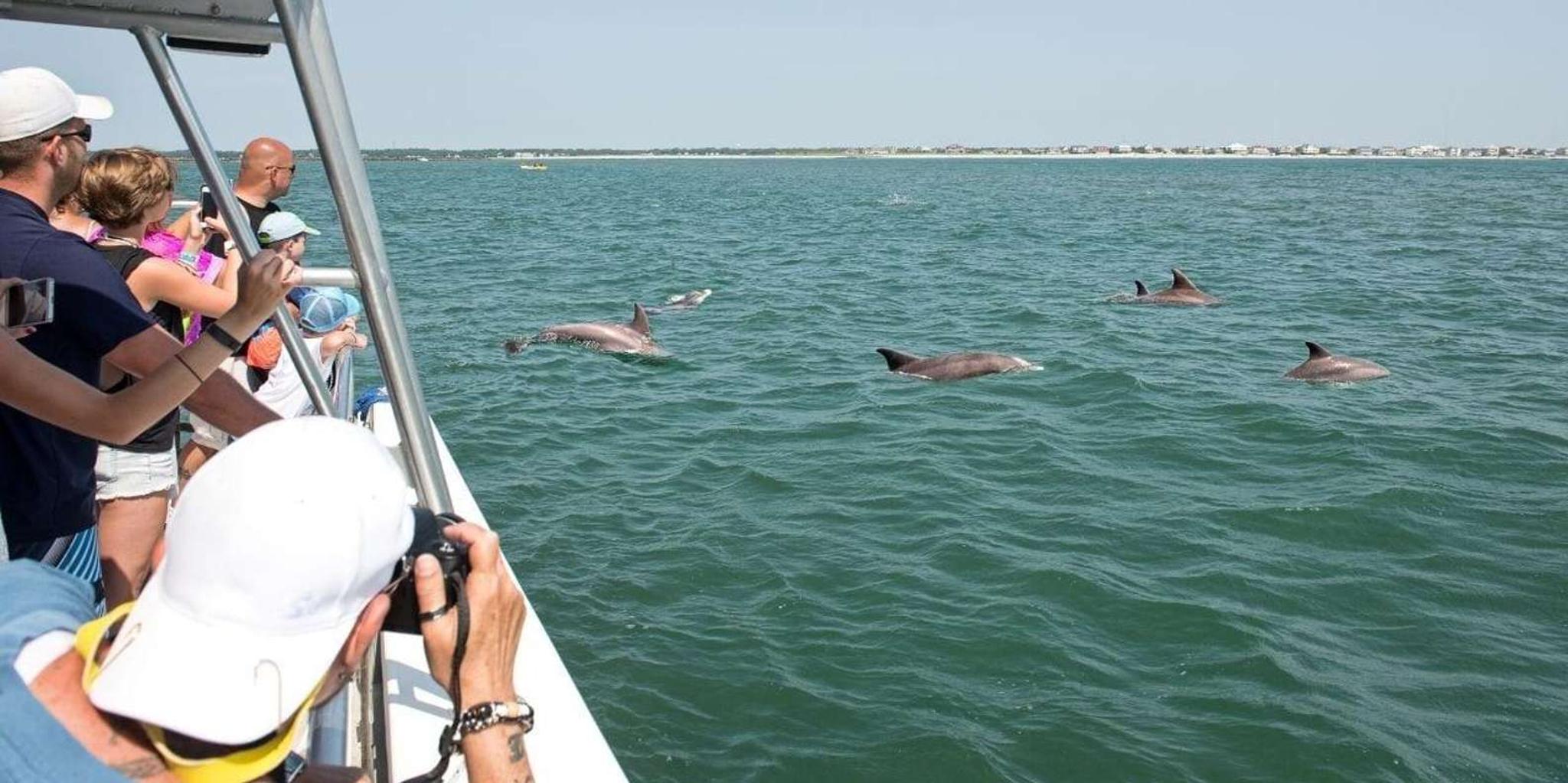 Ocean City Speedboat Tour with Dolphin Spotting 45 min - Image 2