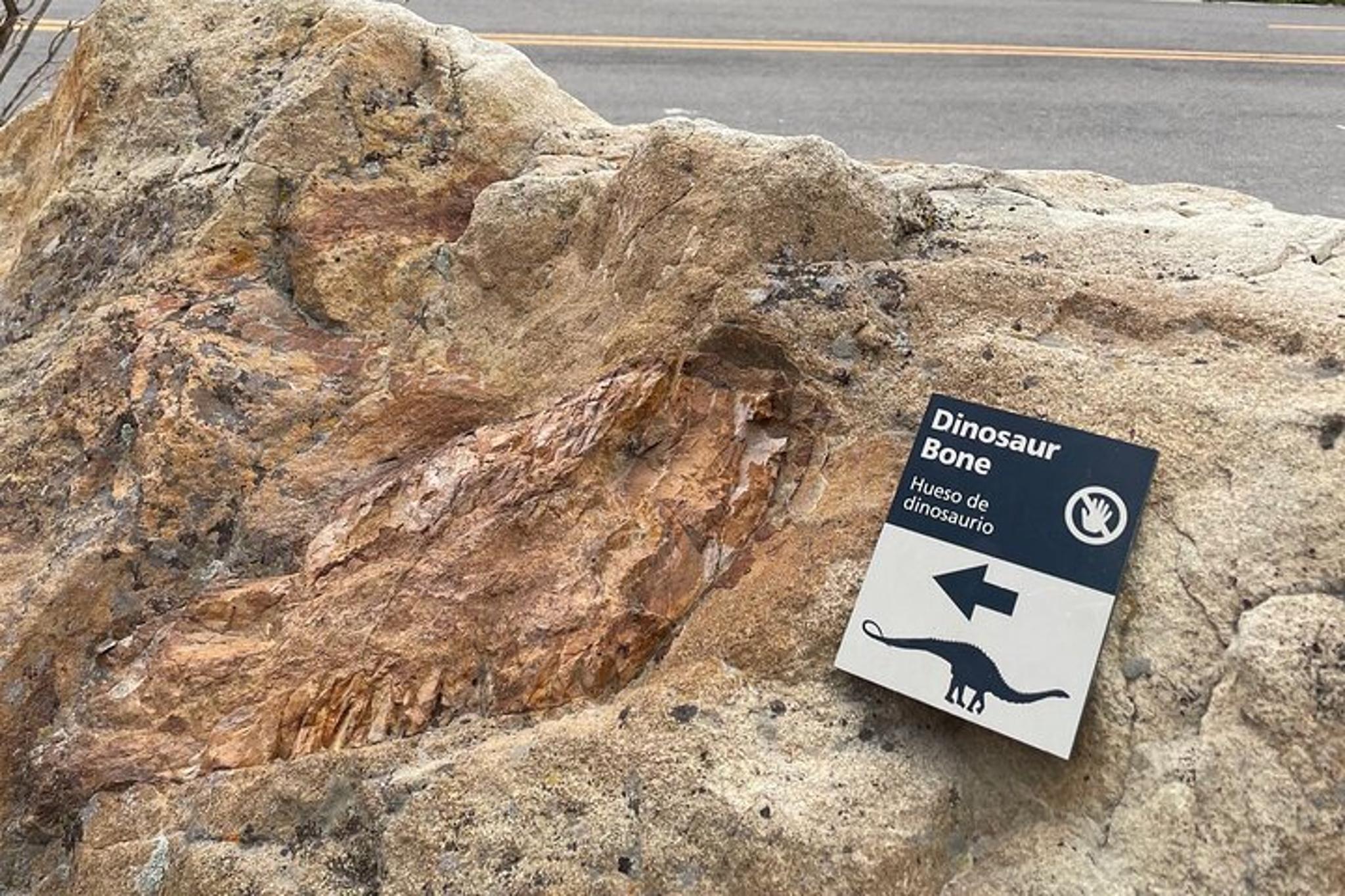 Denver Jeep Tour to Red Rocks and Dinosaur Ridge - Image 6