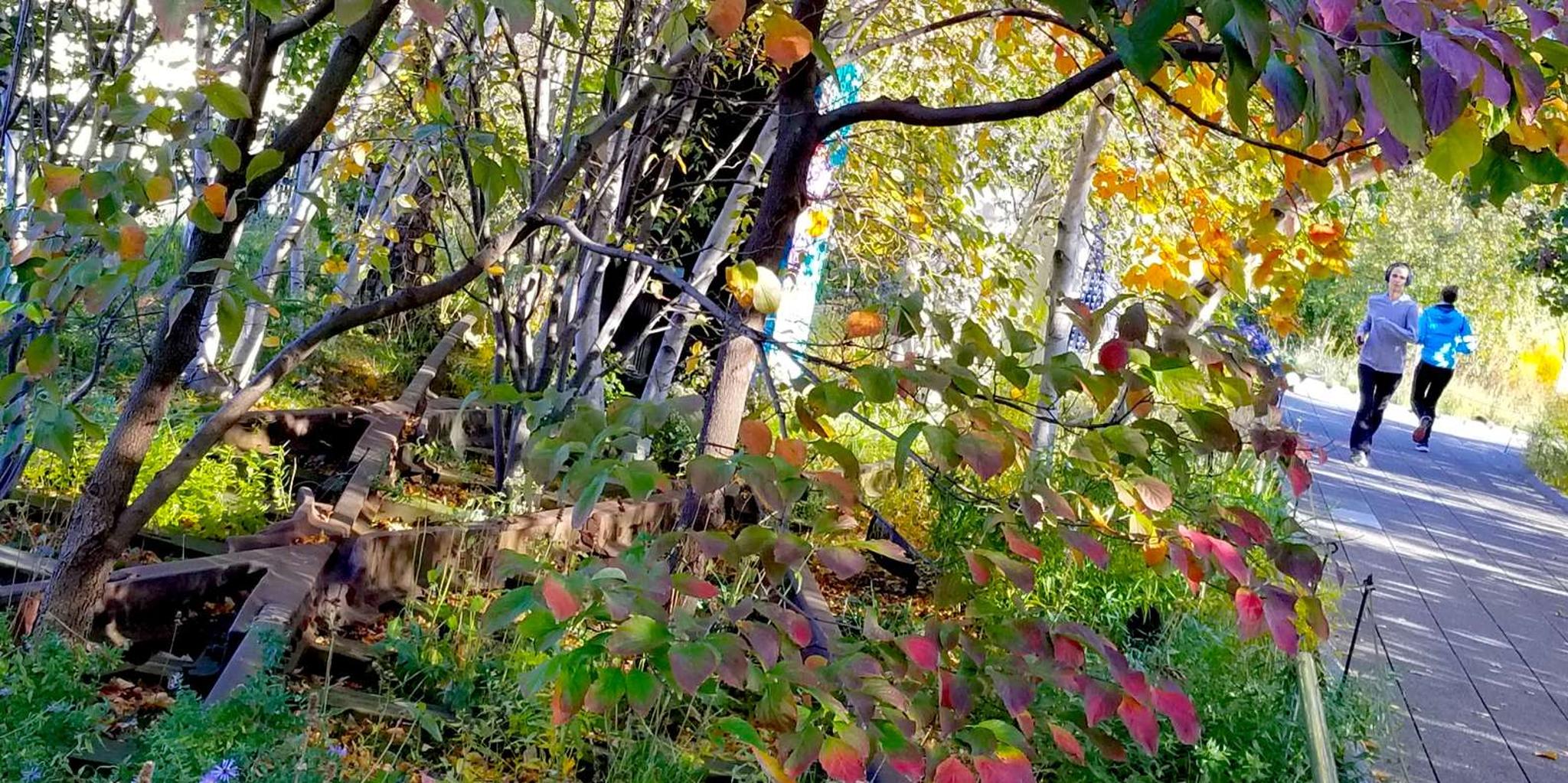 New York City High Line Walking Tour - Image 4