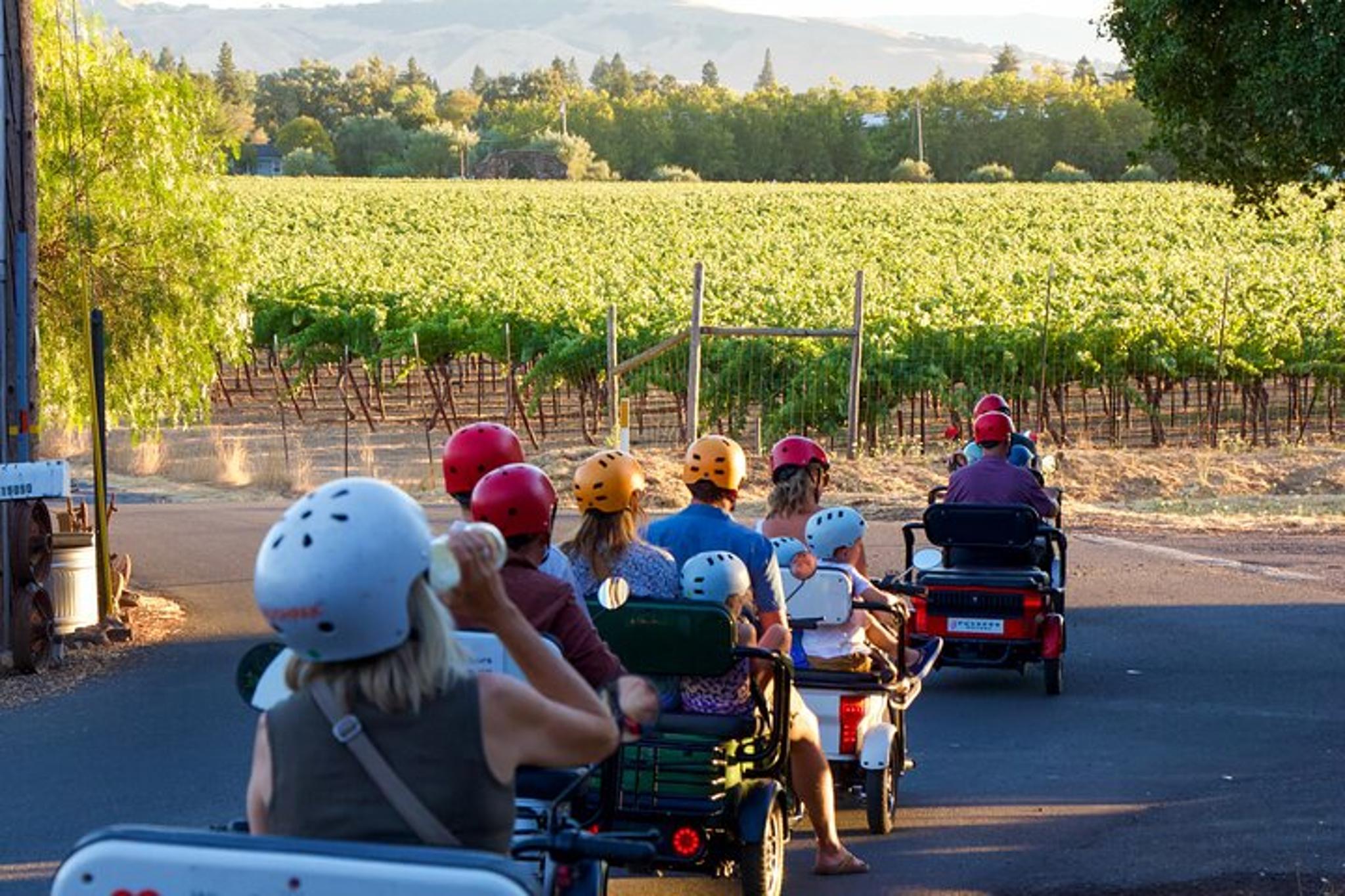 Sonoma Electric Trike Sunset Tour - Image 3