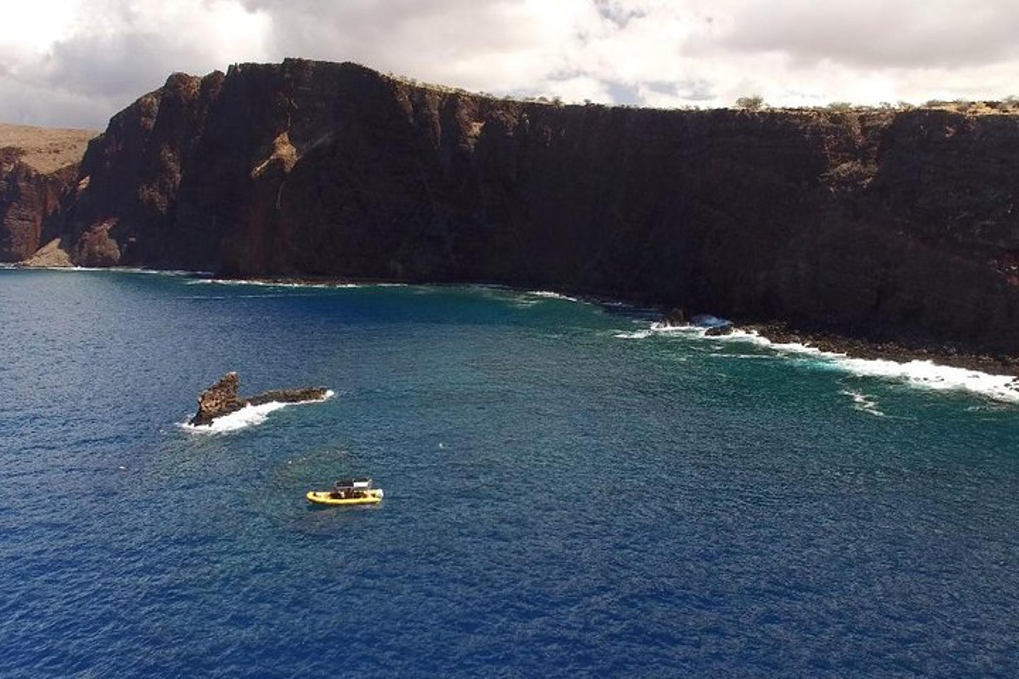 Lanai Dolphin Adventure and Snorkel Tour - Image 5