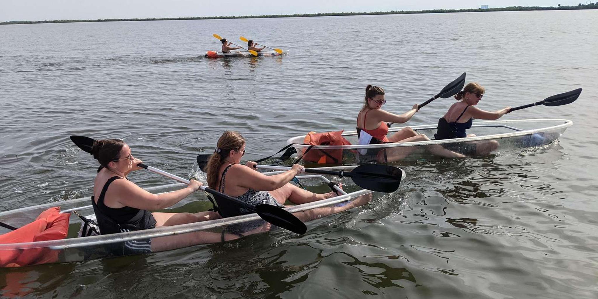 Orlando Dolphin Kayak or Paddleboard Adventure - Image 2