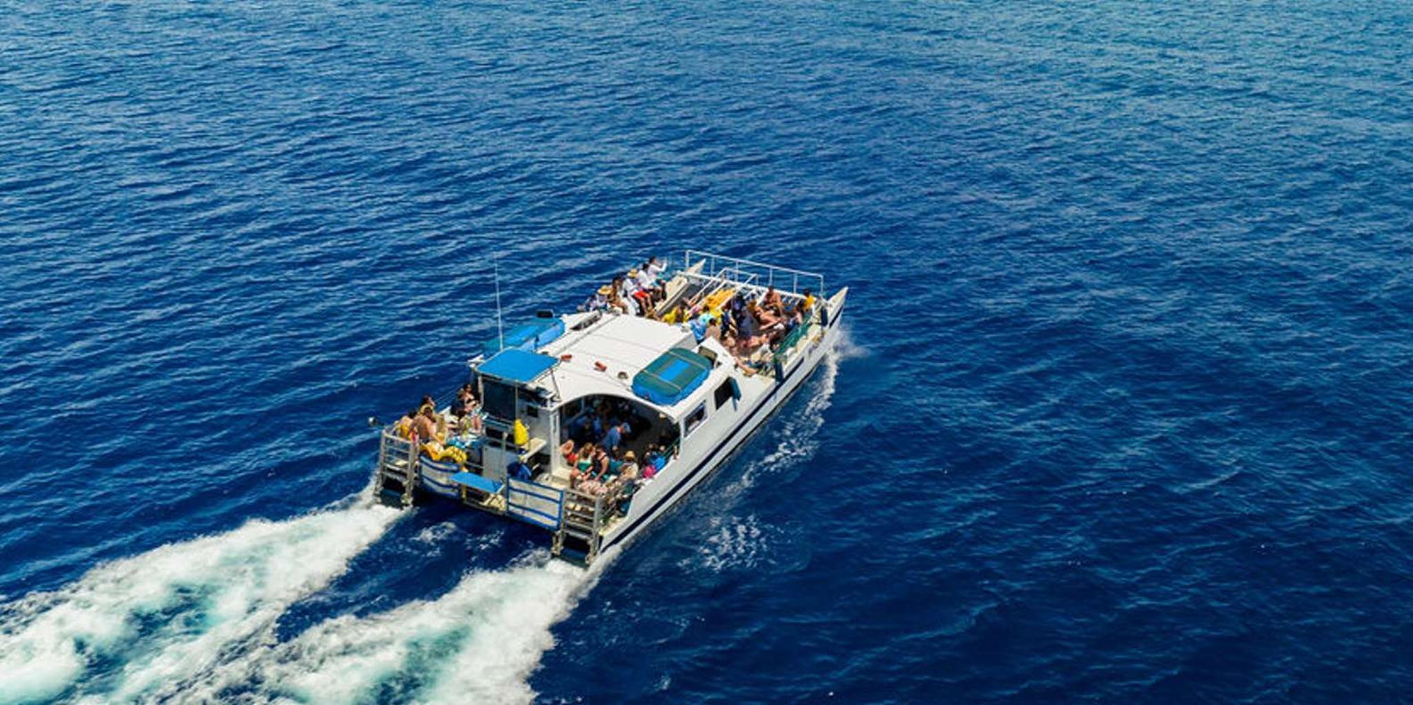 Ma'alaea Whale Watching Tour Aboard the Malolo - Image 5