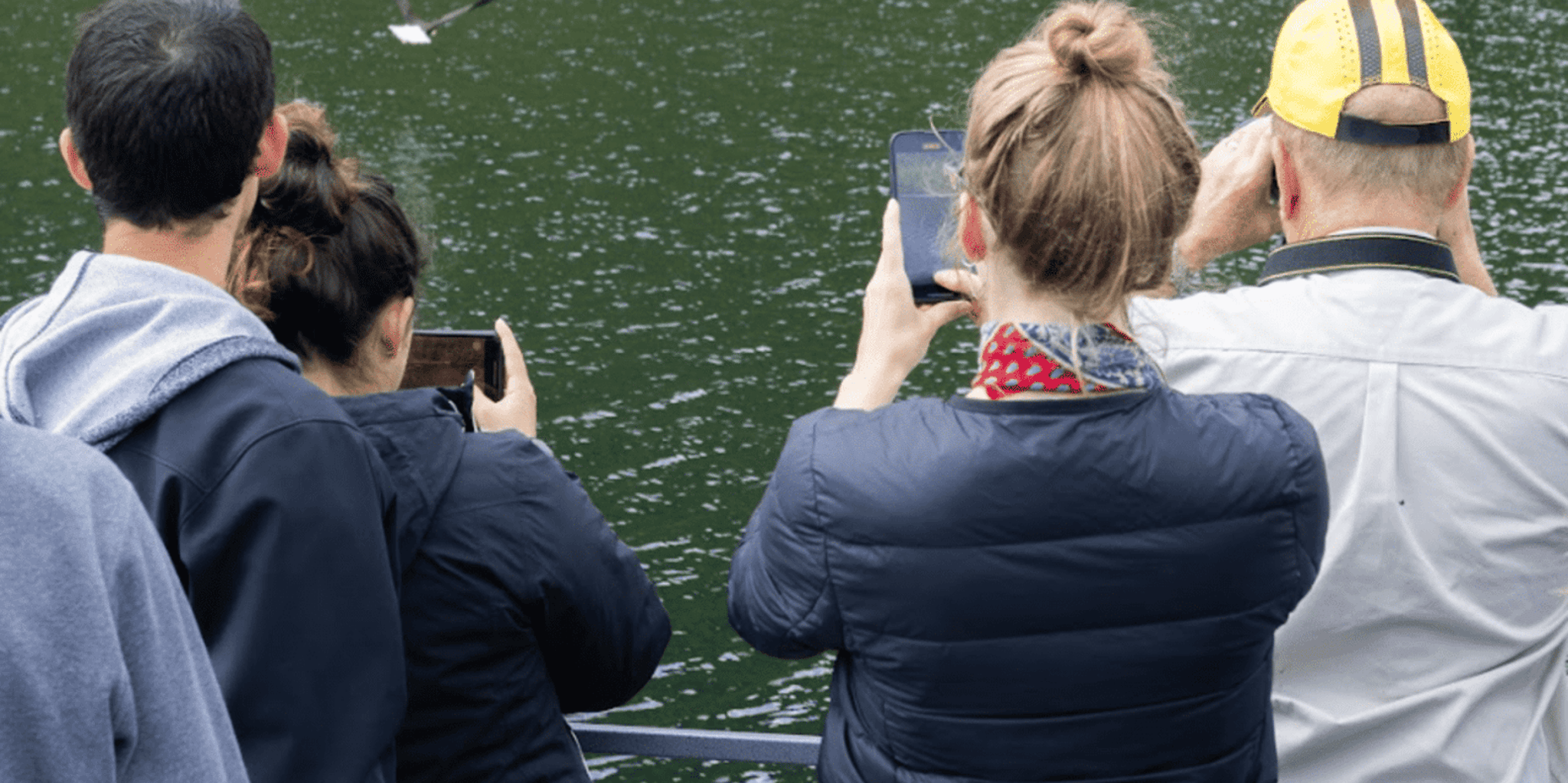 Ketchikan Wilderness Boat Cruise and Crab Feast