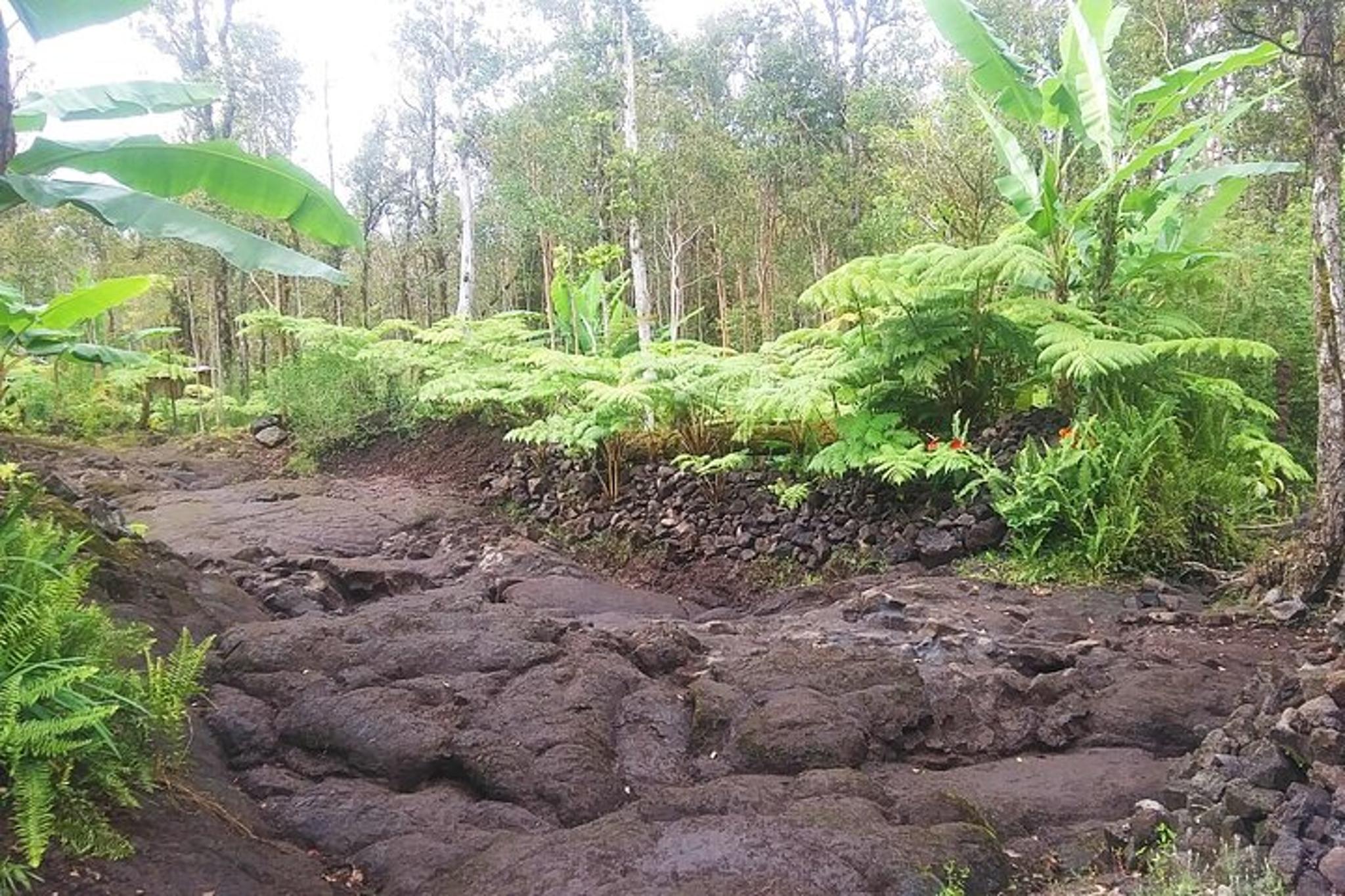 Hawaii Lava Rock and Jungle Art Tour - Image 3