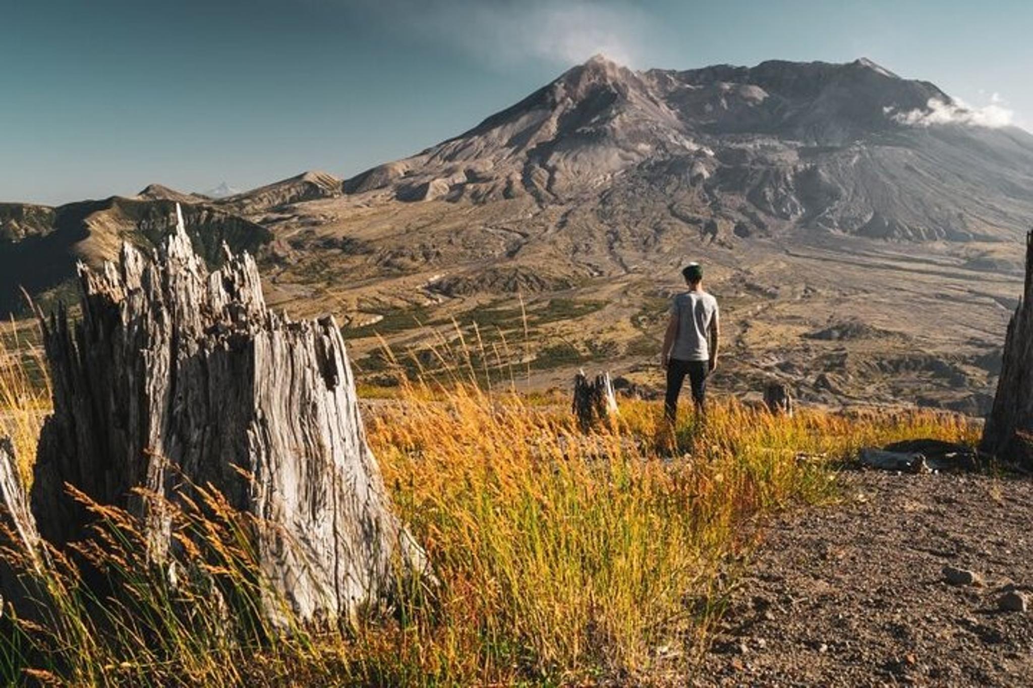 Portland Mt. Saint Helens Small Group Tour - Image 6