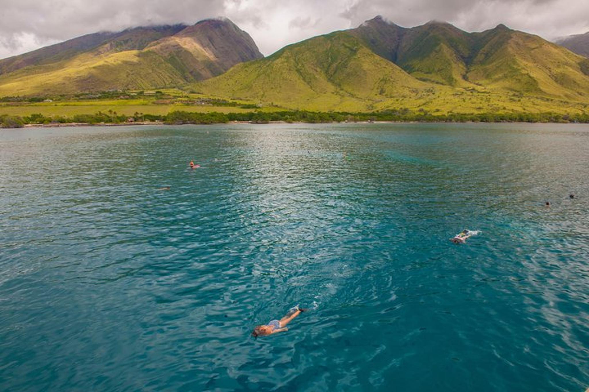 Ma'alaea Harbor Snorkeling Tour to Molokini and Turtle Arches - Image 6