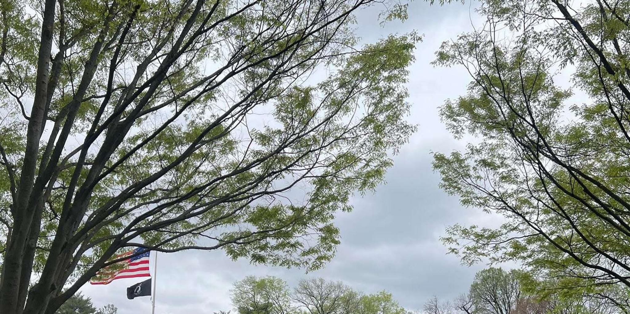 Washington, D.C. Day Trip from New York - Image 5