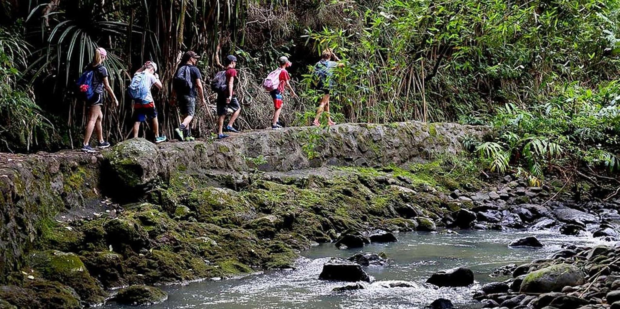 Maui Waterfall Tour with Kayak, Snorkel, and Hike - Image 5