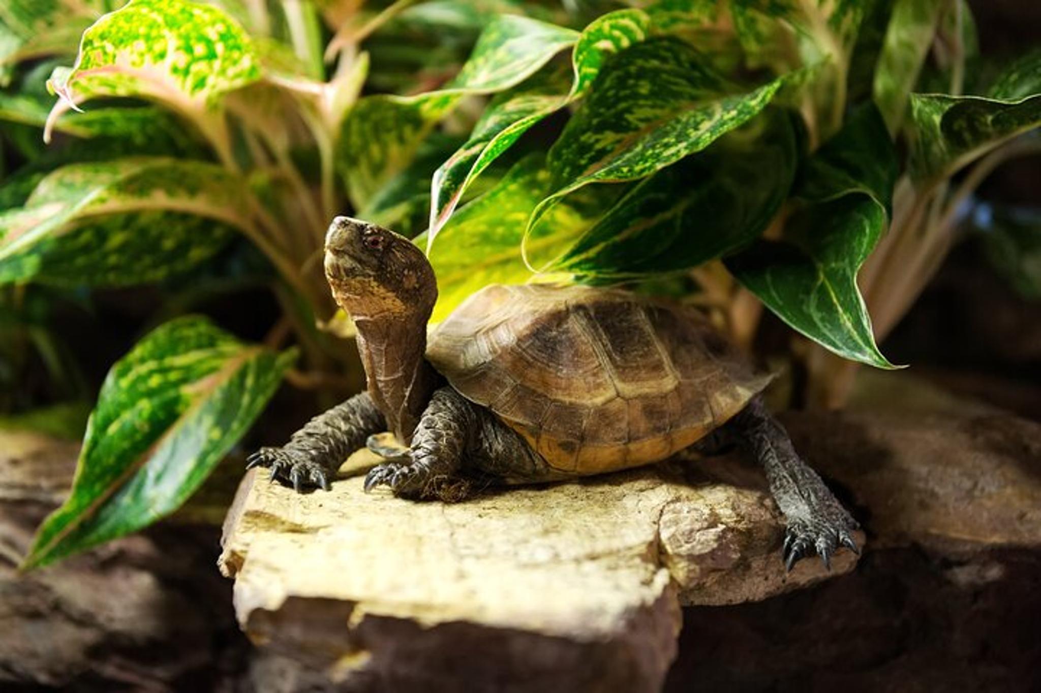 New York City Private Walking Tour - Image 2