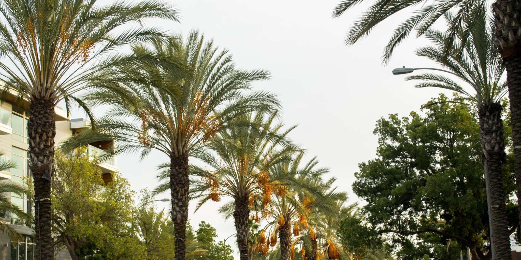Los Angeles Private Driving Tour