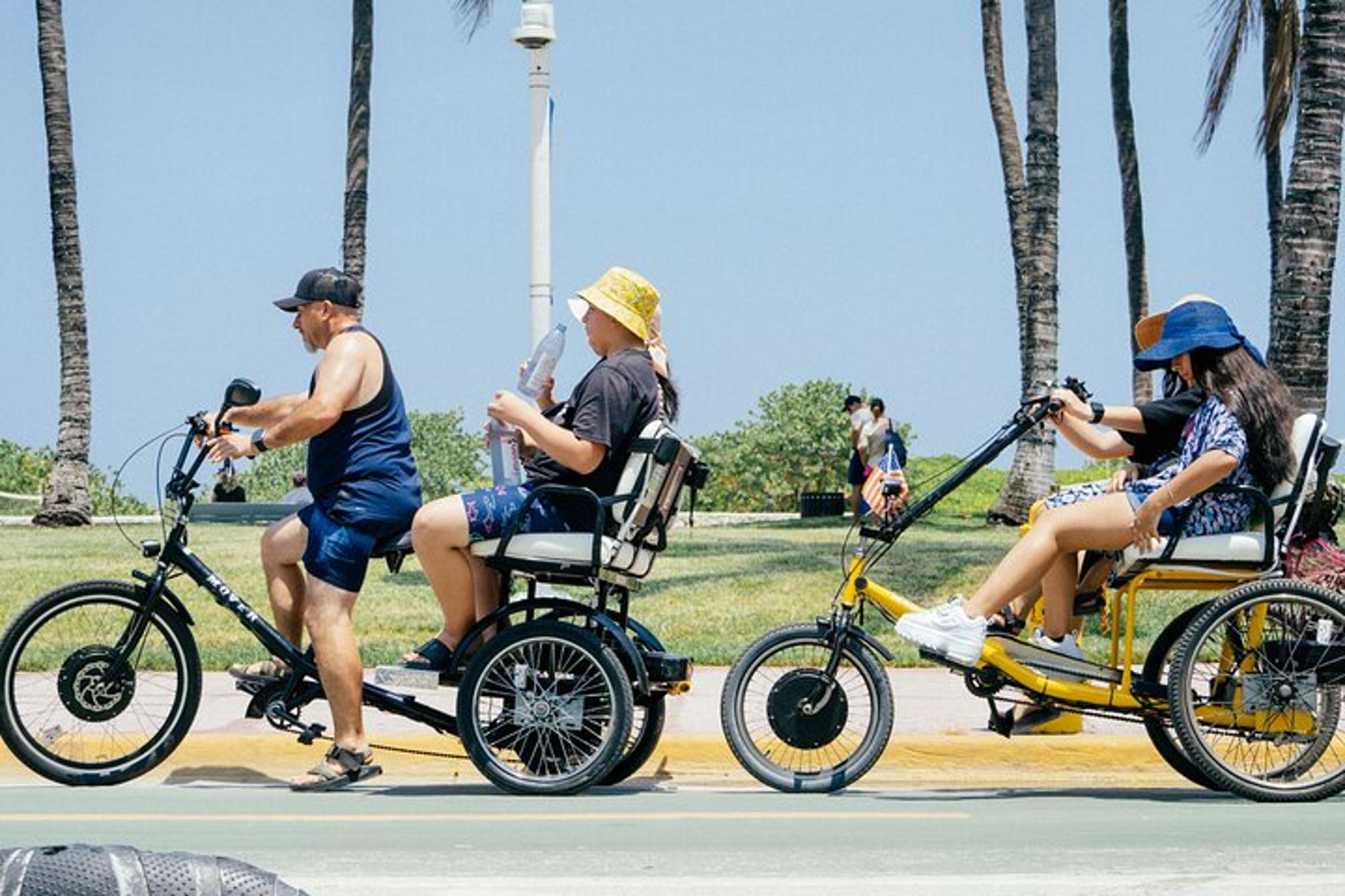 Miami Night Chariot Tour 45 Min - Image 5