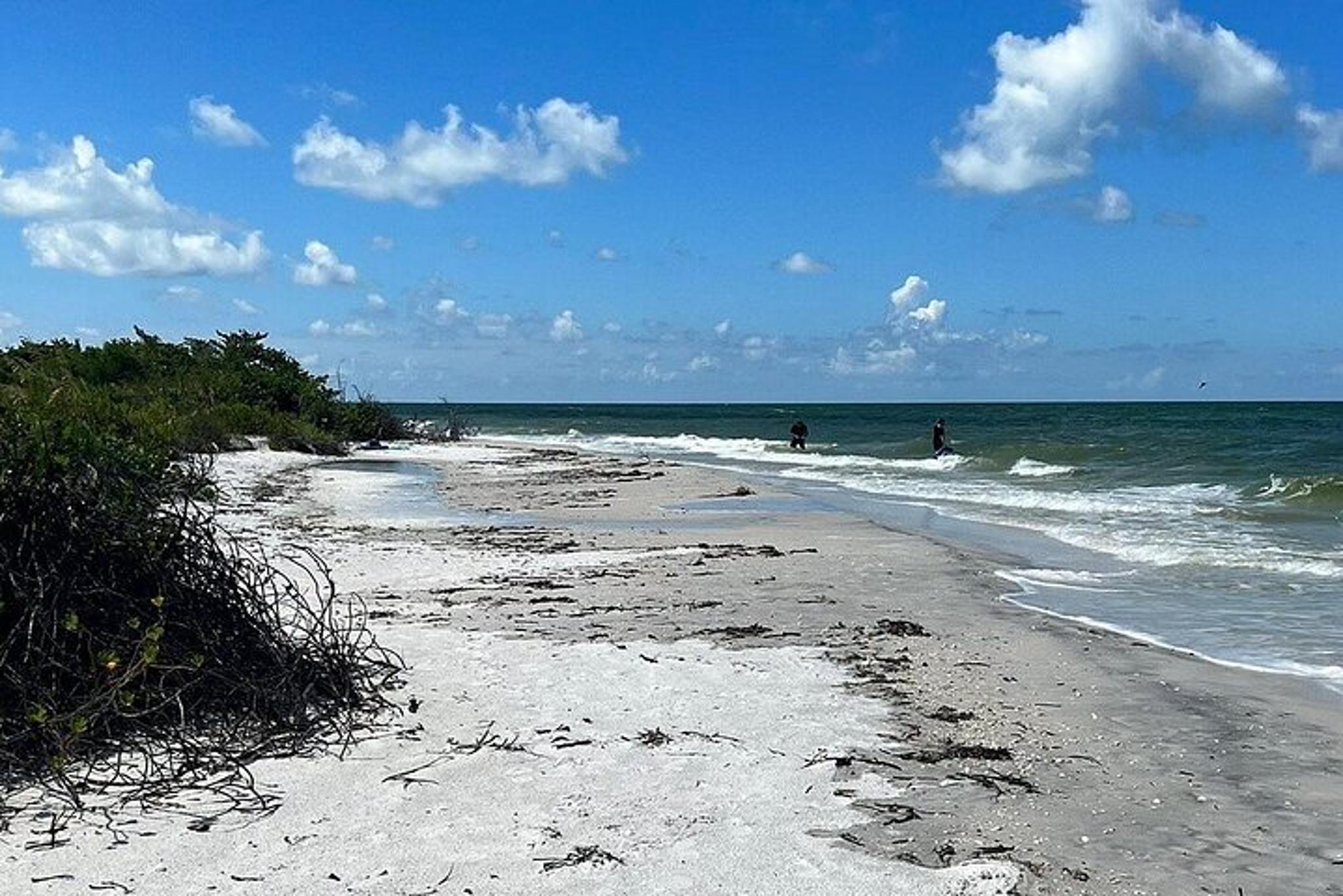 Everglades Shell Wildlife Eco Excursion - Image 5