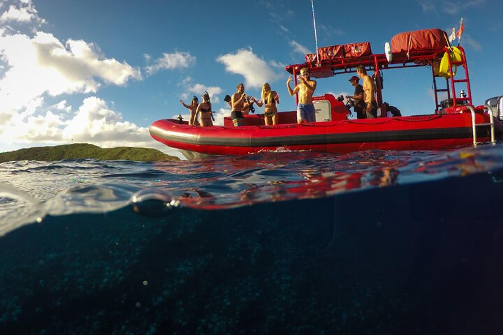 Kihei Snorkeling Adventure at Molokini Crater - Image 5