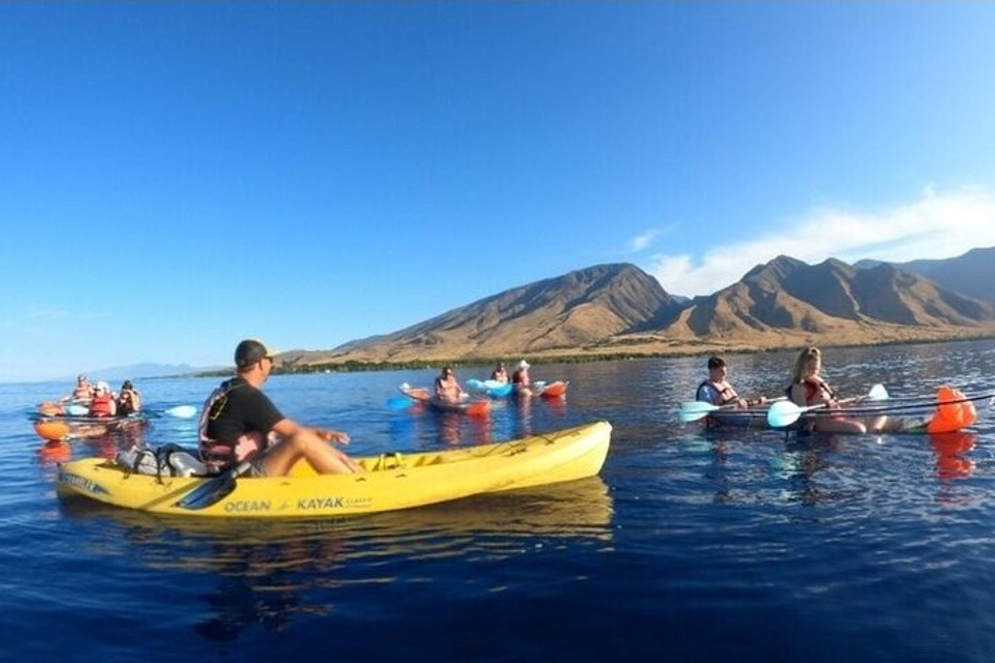 Maui Clear Kayak and Snorkel Tour with Turtles - Image 2