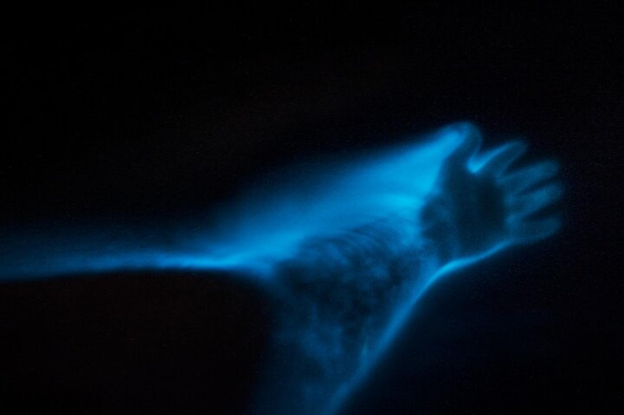 Orlando Bioluminescence Kayak Tour - Image 3