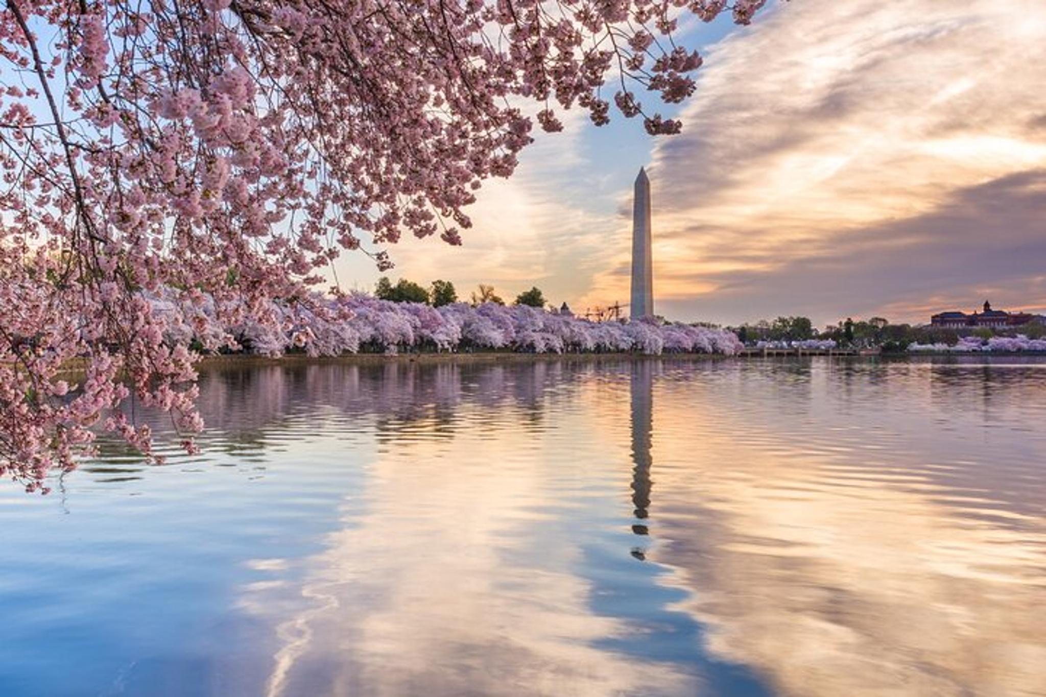 Washington D.C. Scavenger Hunt & Audio Tour