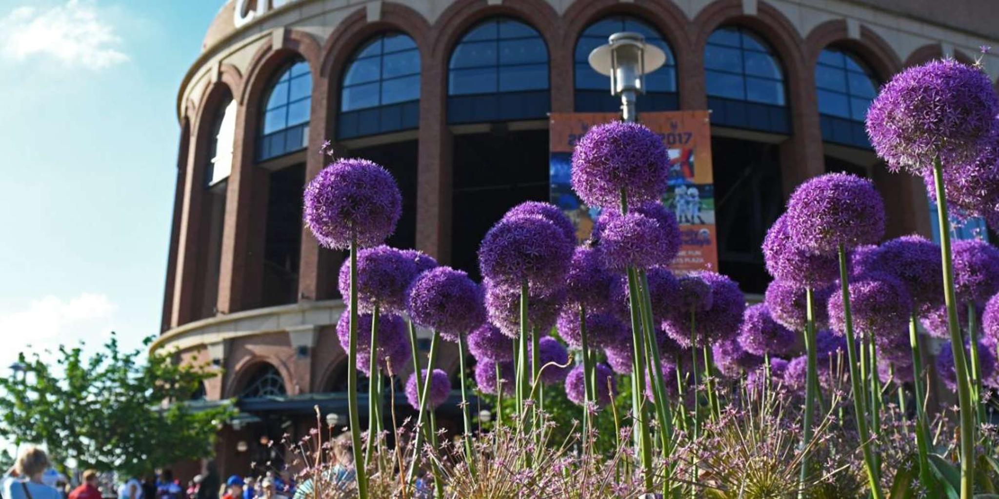 New York City Citi Field Ballpark Tour