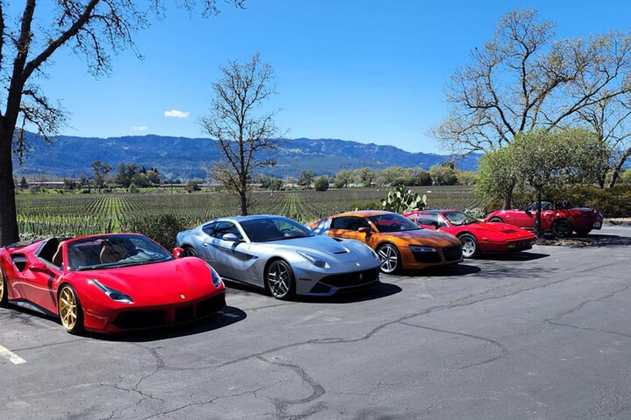 Sonoma Napa Champagne Wine Tour Half Day - Image 5