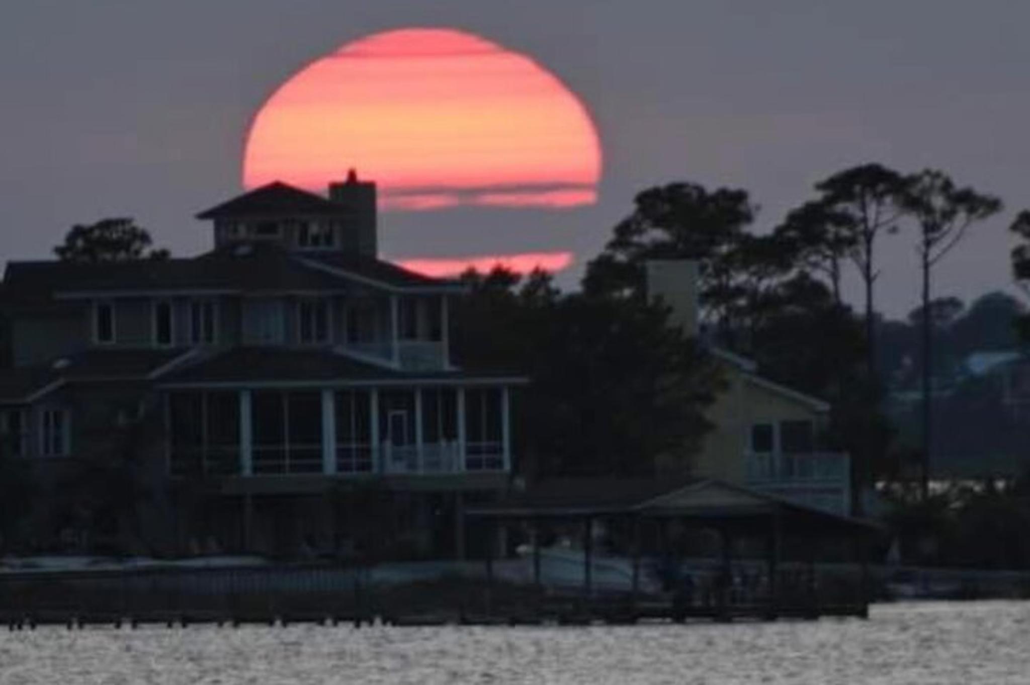 Orange Beach Dolphin Watching Tour - Image 6