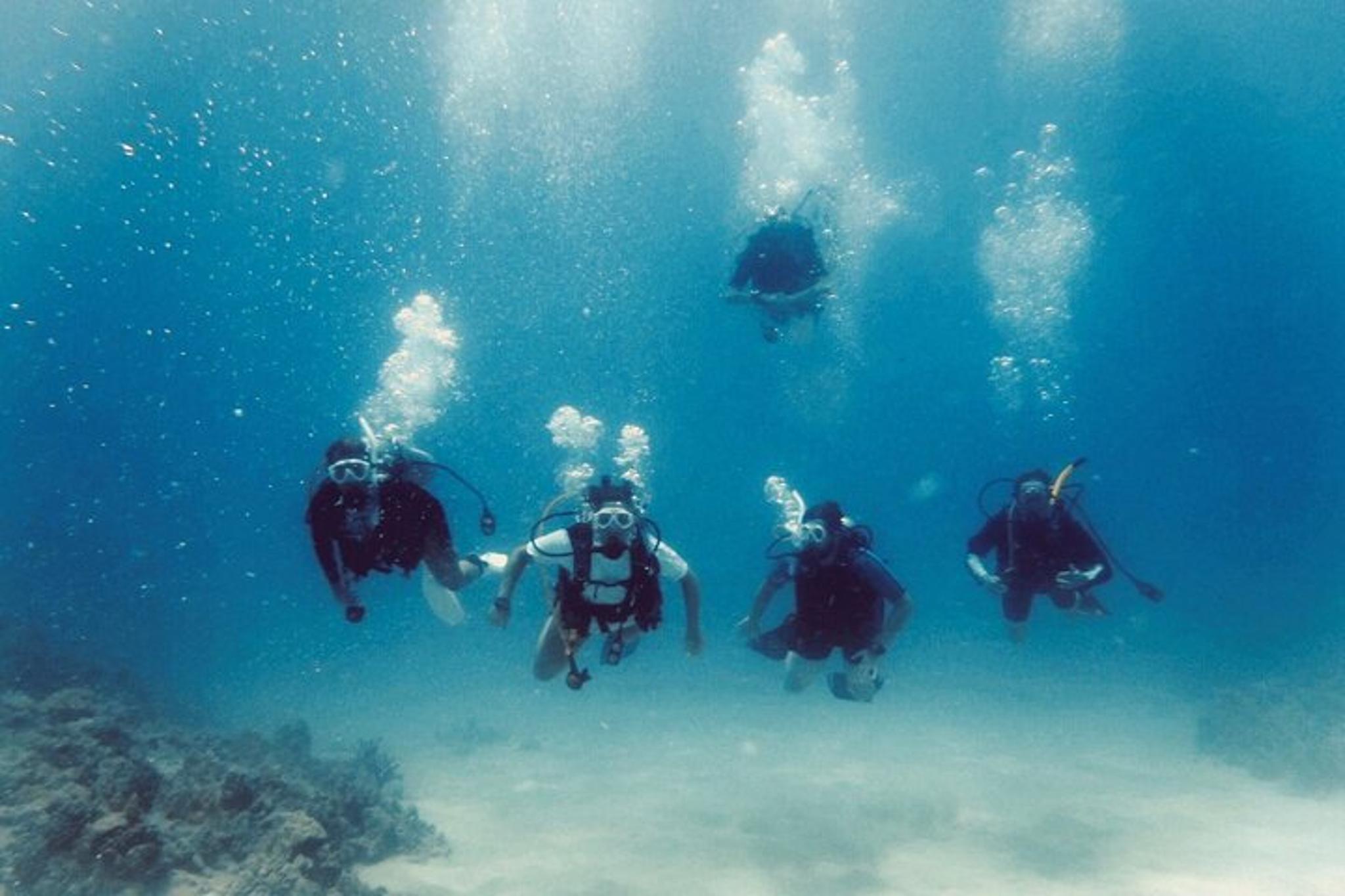 Kona Shore Dive or Refresher Dive - Image 3