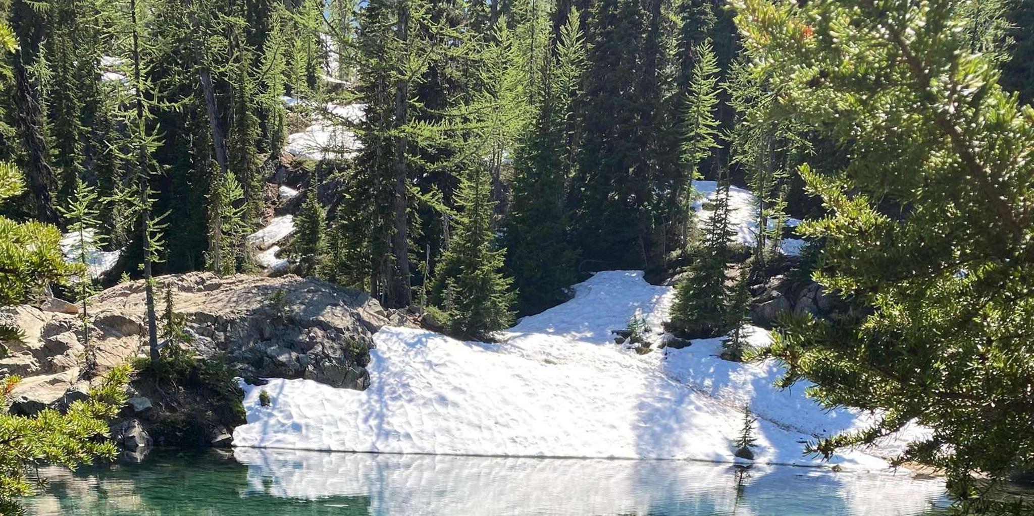 Seattle North Cascades Day Trip - Image 4