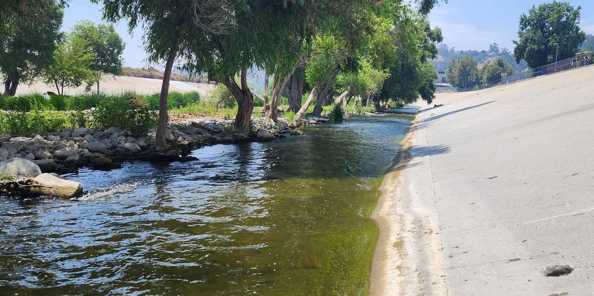 Los Angeles River Eco Tour and Secret Stair Hike - Image 5