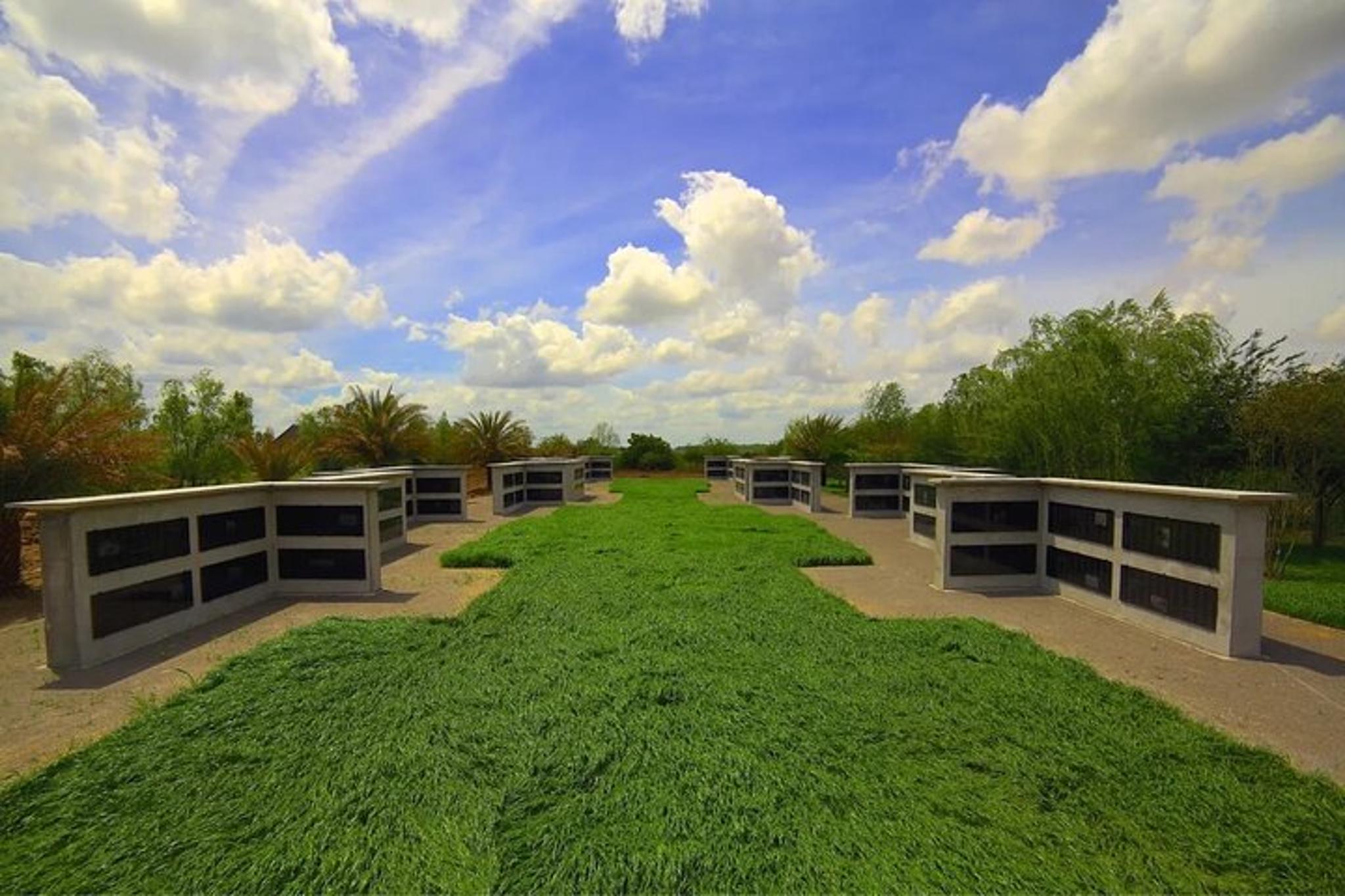 New Orleans Plantation and Swamp Tour with Transportation - Image 4