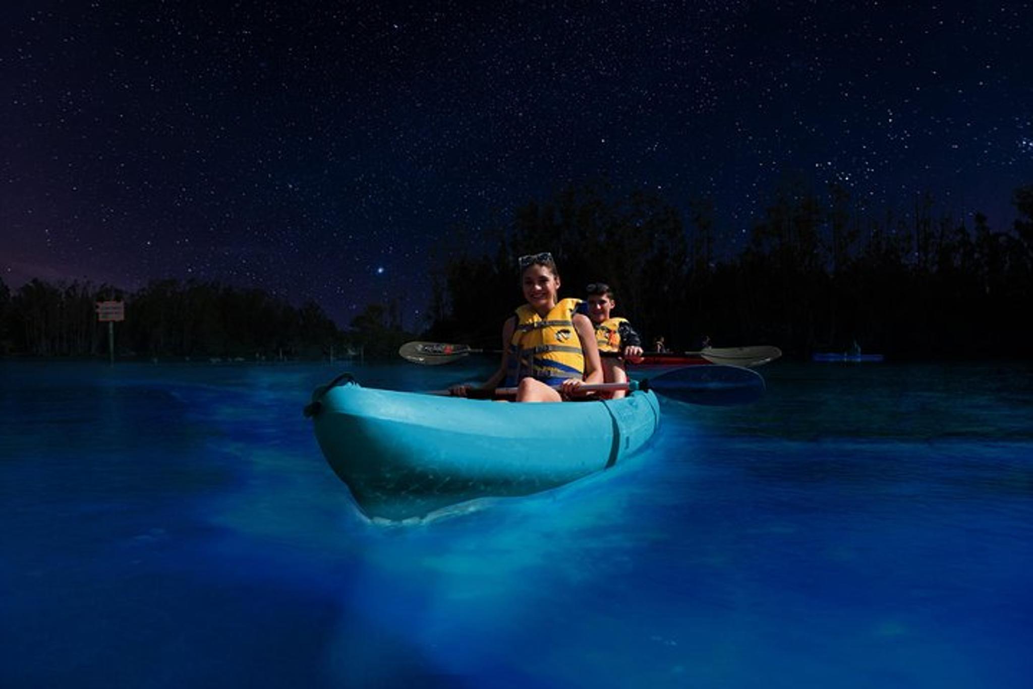 Merritt Island Bioluminescence Kayak Tour - Image 4