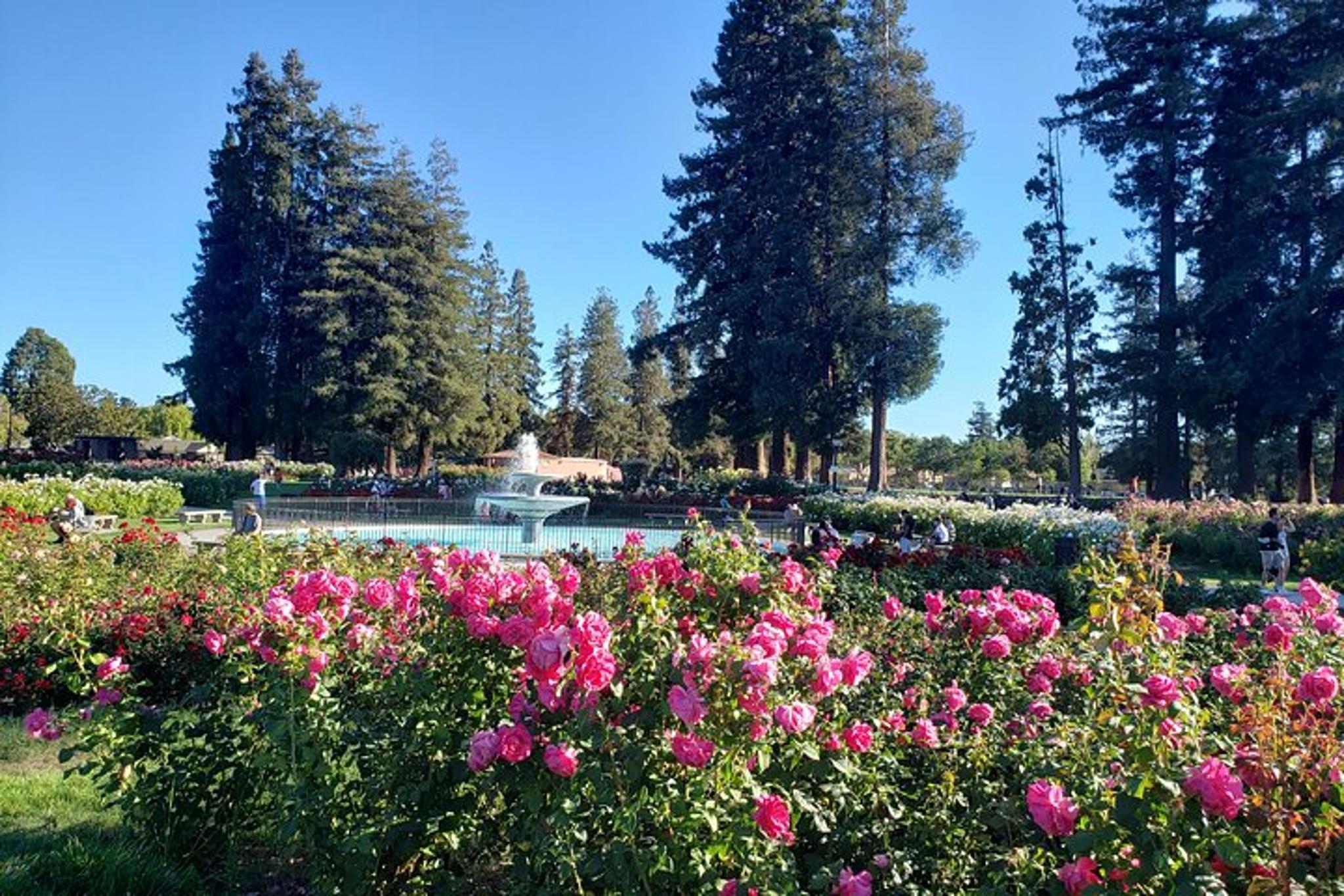 San Jose Stress-Relief Drawing Class - Image 4