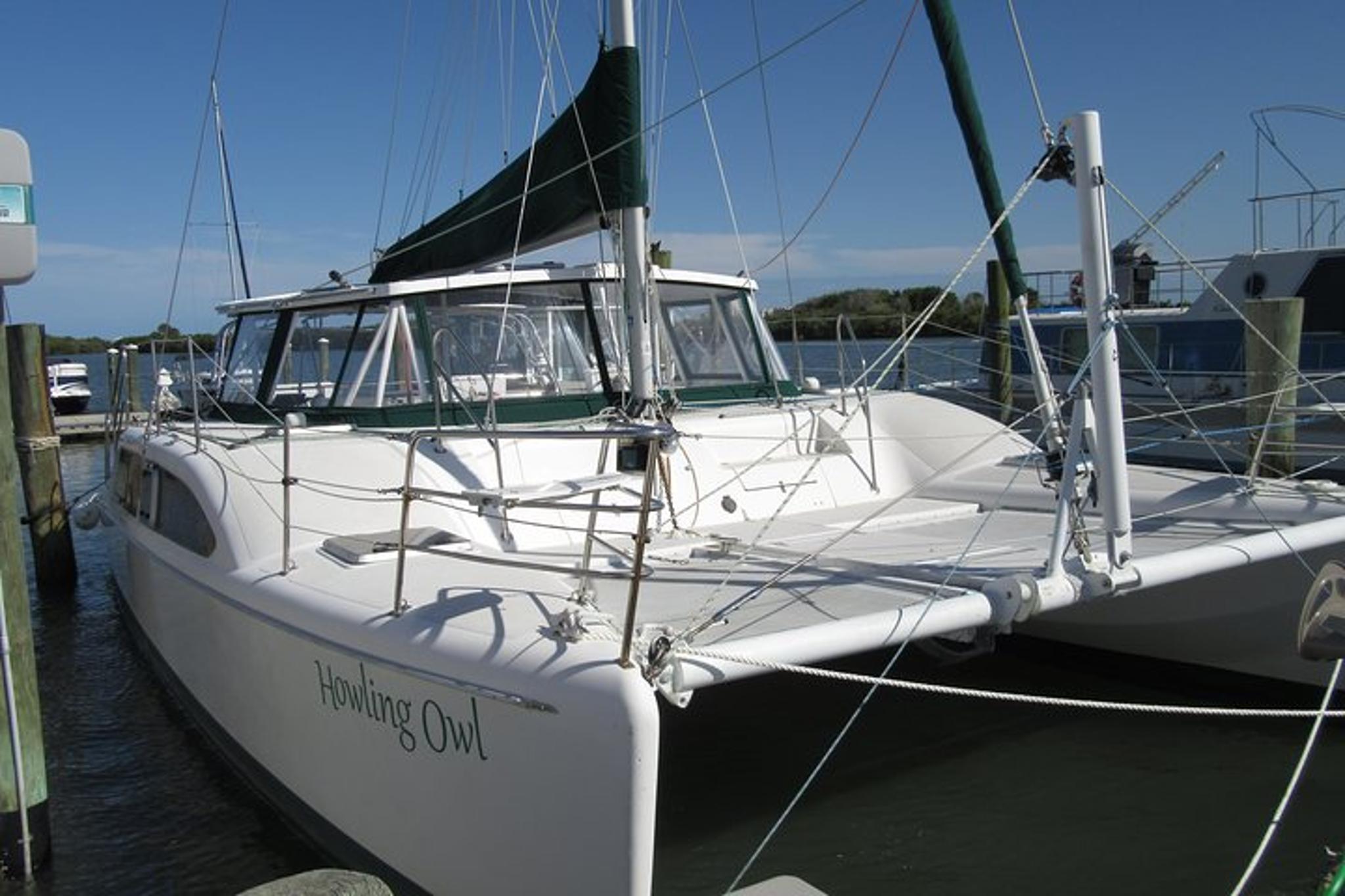 Daytona Beach Catamaran Sailing Dolphin and Manatee Watch - Image 5
