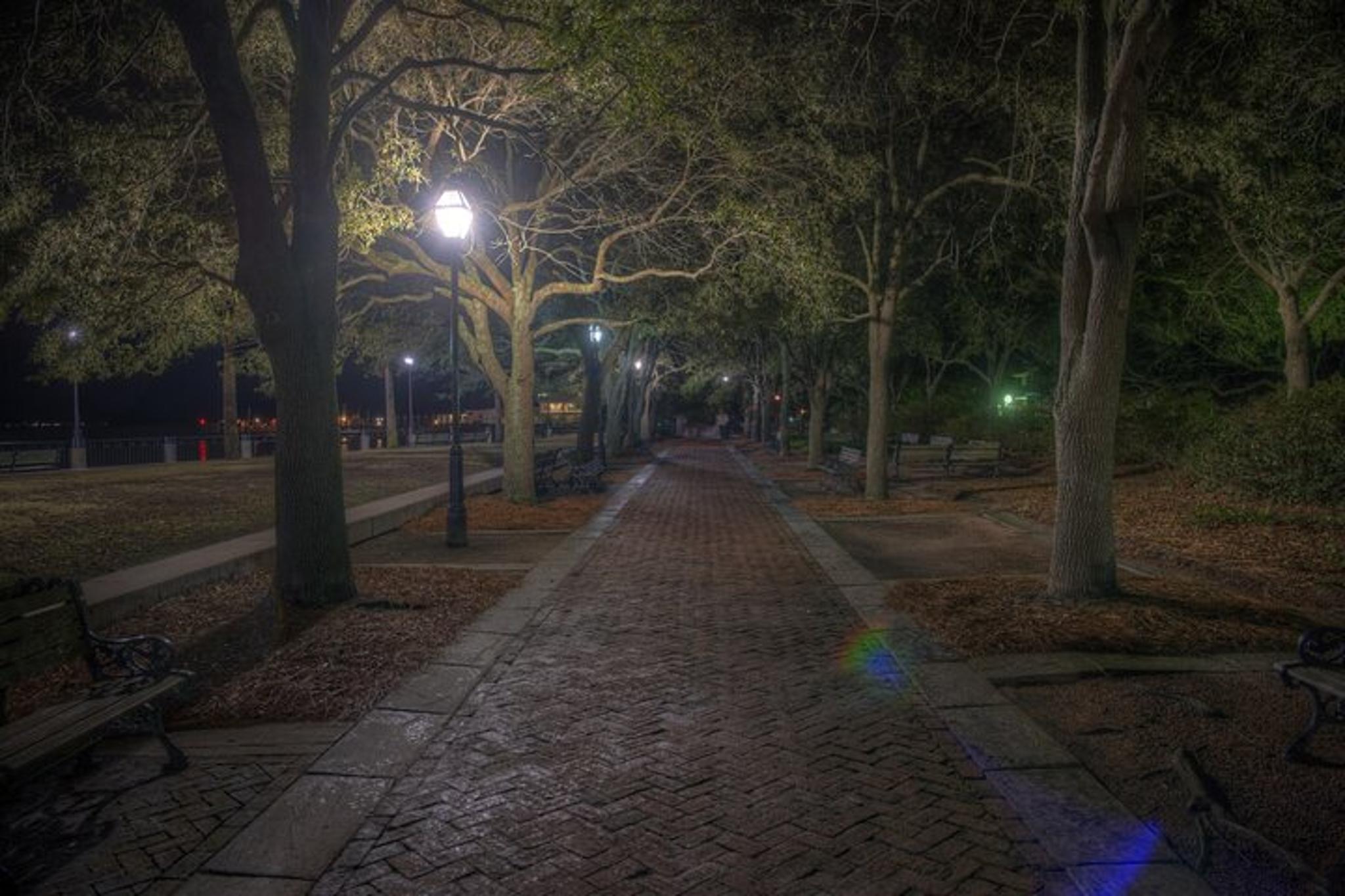 Charleston Pirates Tour 90 min - Image 3