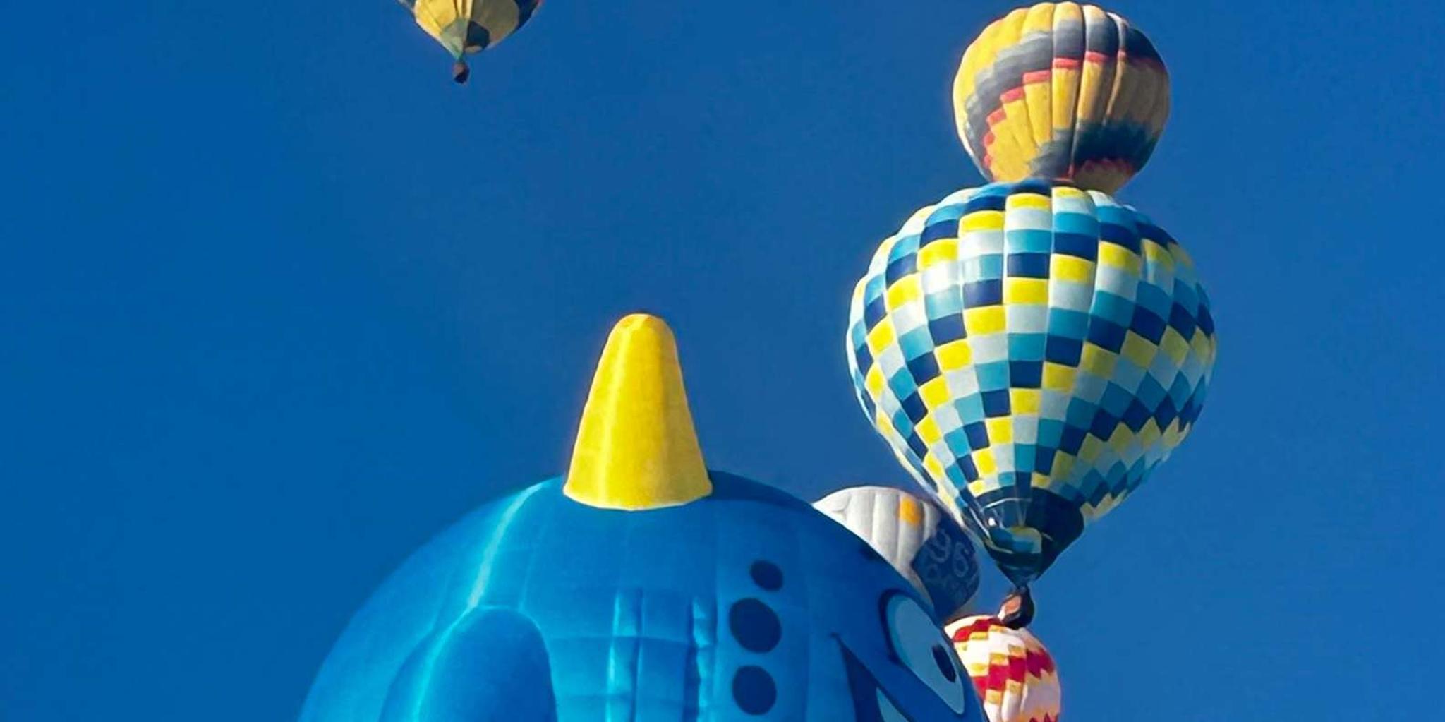 Albuquerque Balloon Fiesta Transfer 5 hr - Image 4