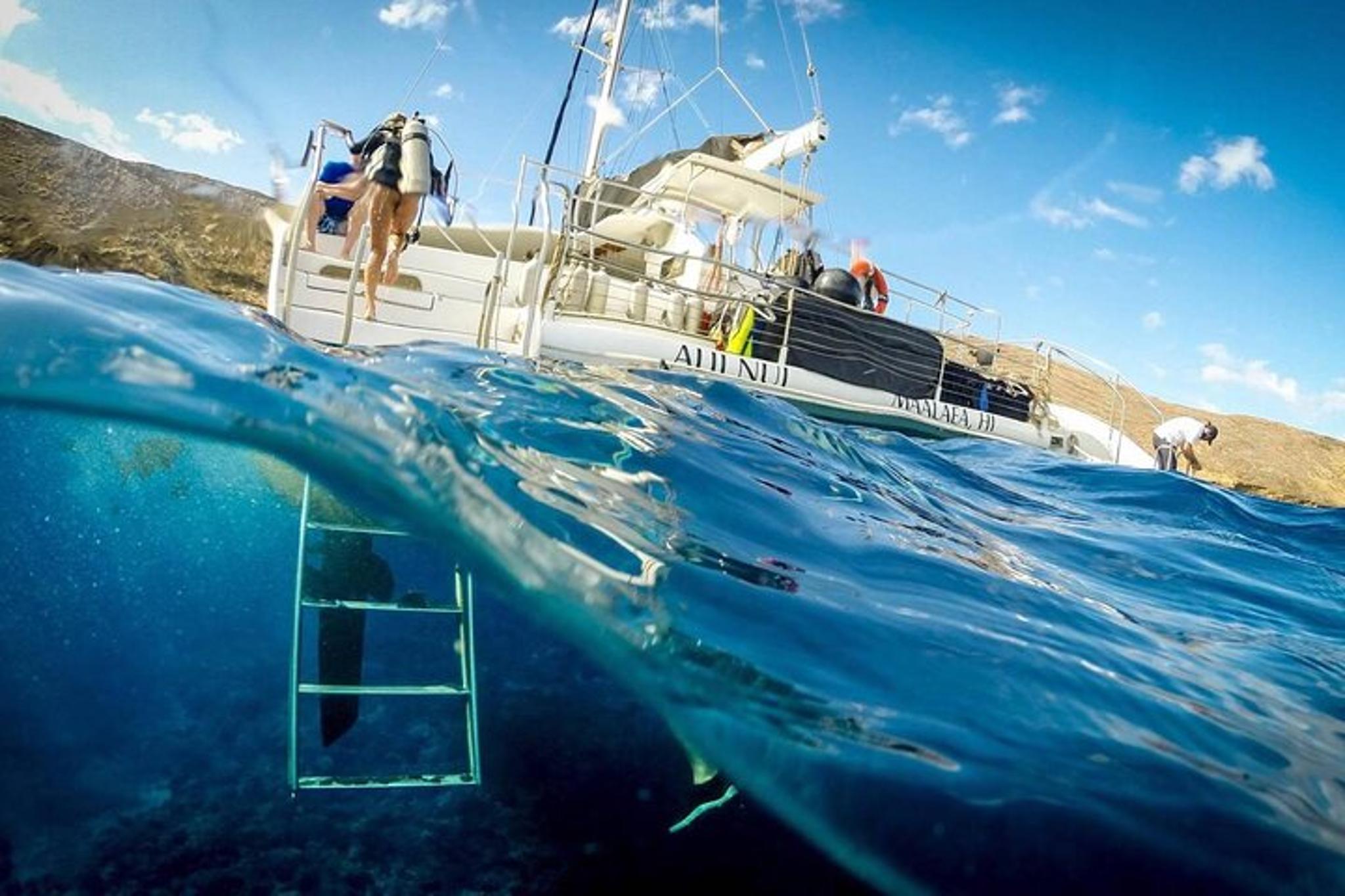 Maui Catamaran Snorkel with Turtles & Tacos - Image 5