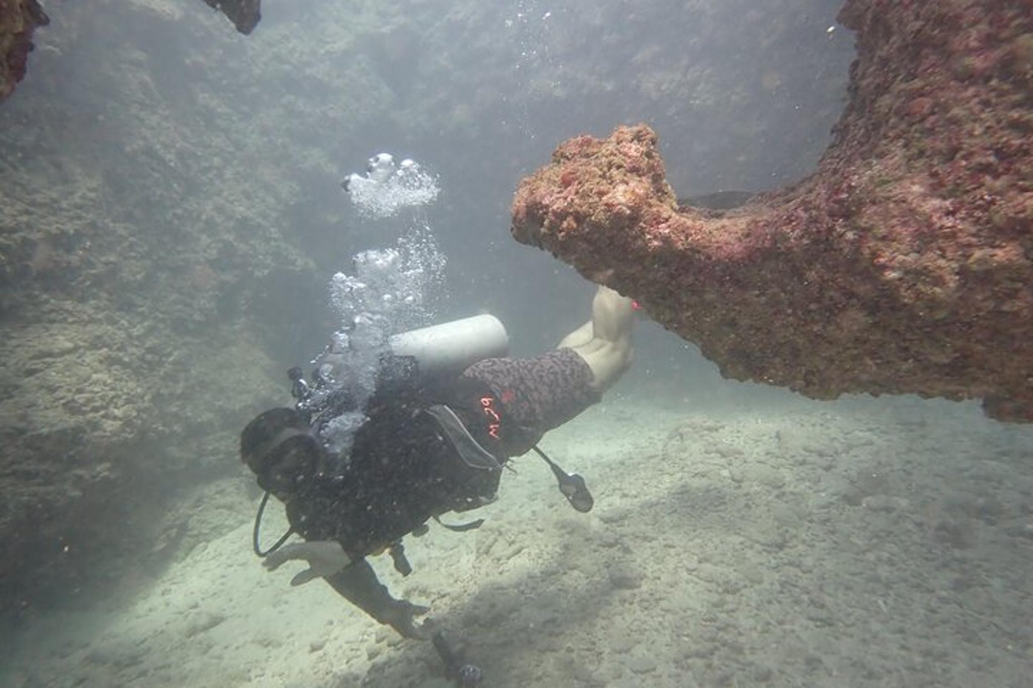 Honolulu Open Water Scuba Certification - Image 4