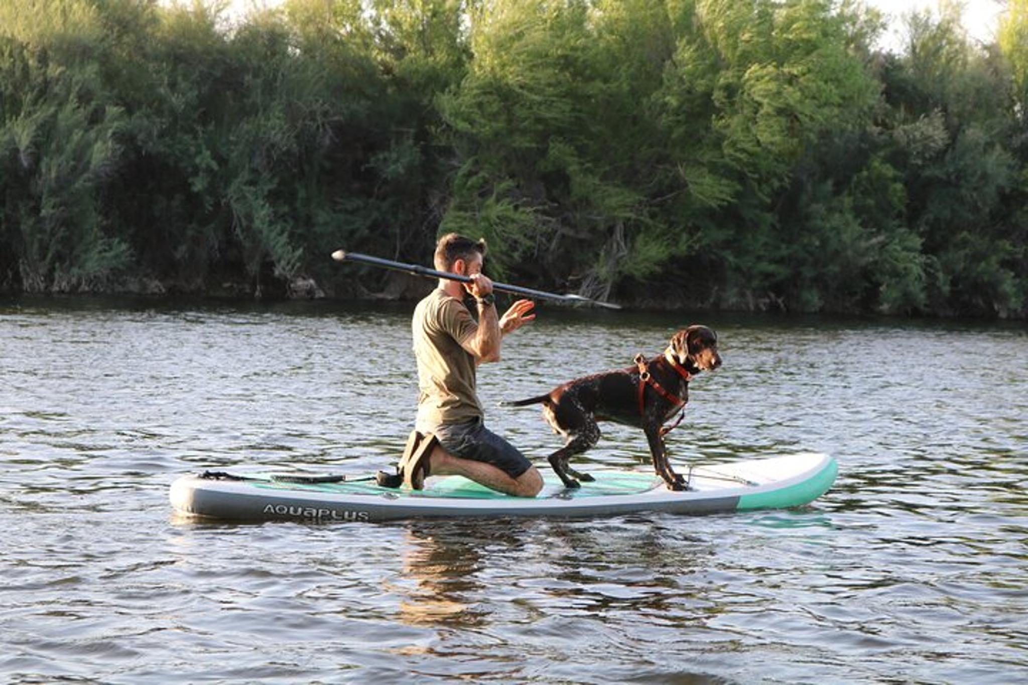 Phoenix Paddle Board Trip on the Lower Salt River - Image 3