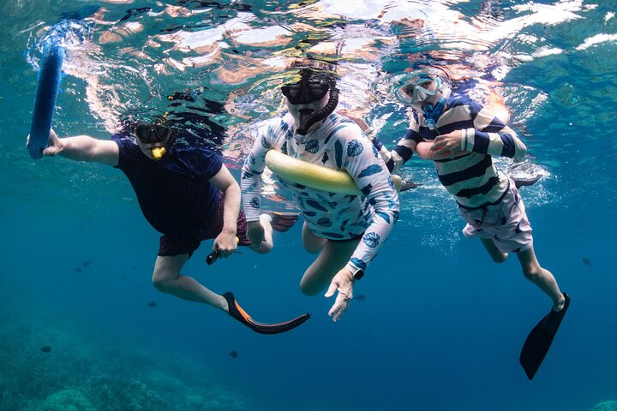 Kona Kealakekua Bay Snorkeling Adventure - Image 2