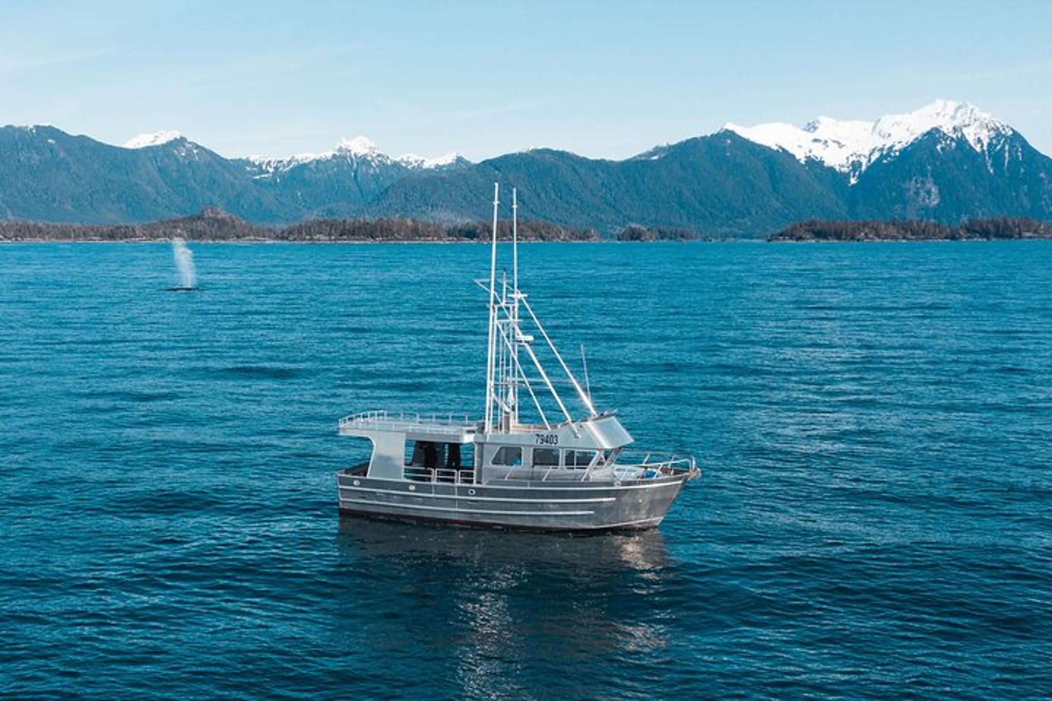 Sitka Marine Wildlife Tour - Image 4