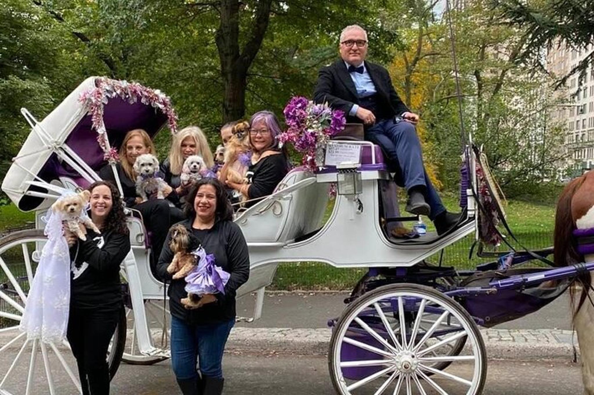 New York City Central Park Horse and Carriage Ride - Image 5
