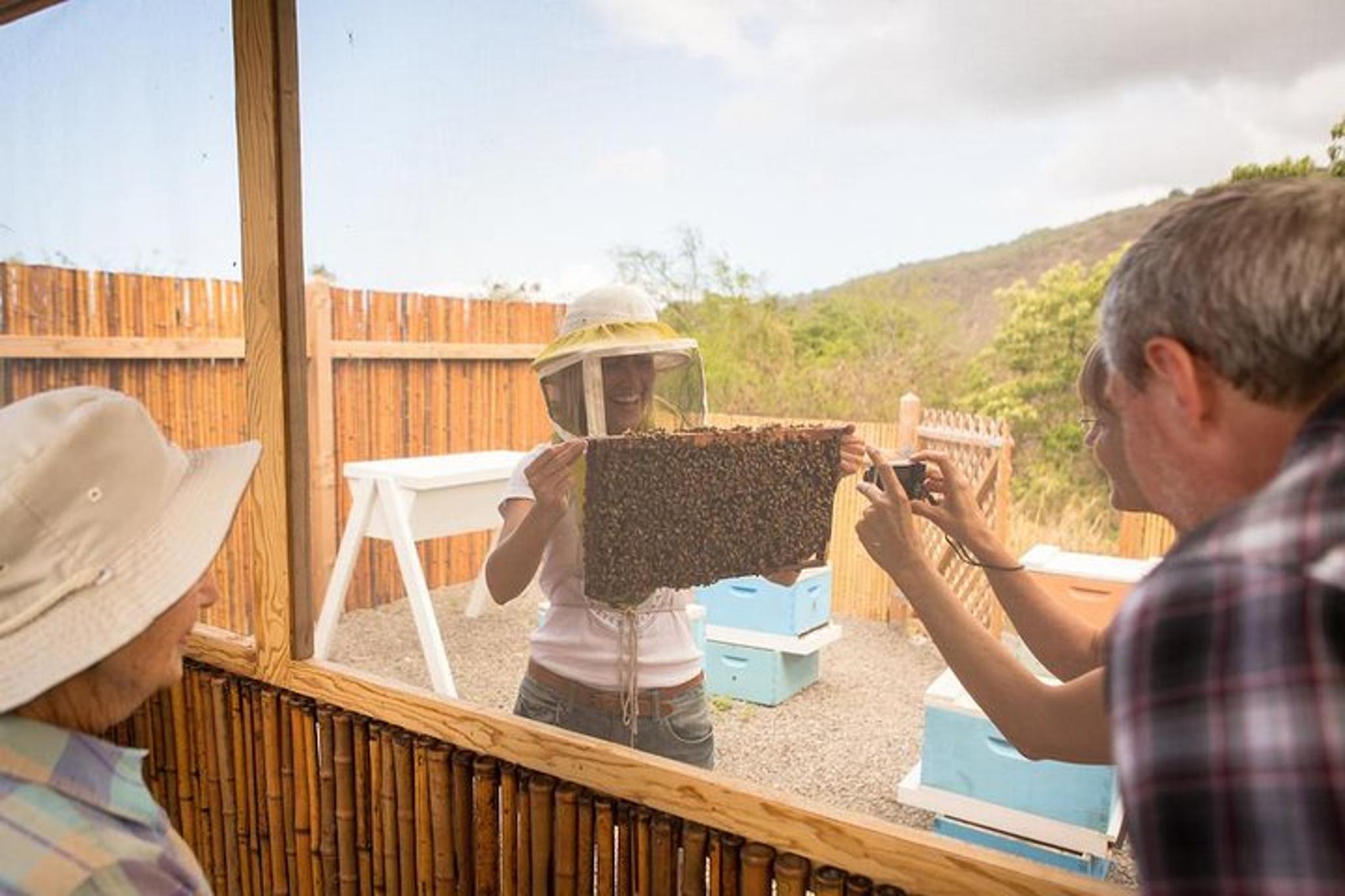 Kona Bee Farm and Coffee National Parks Tour - Image 3
