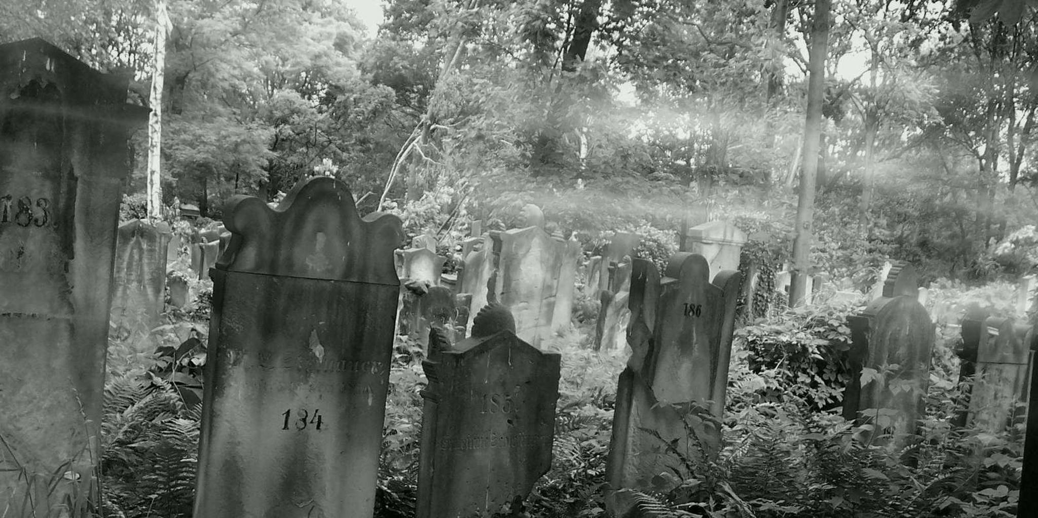Philadelphia True Crime and History Tour - Image 2