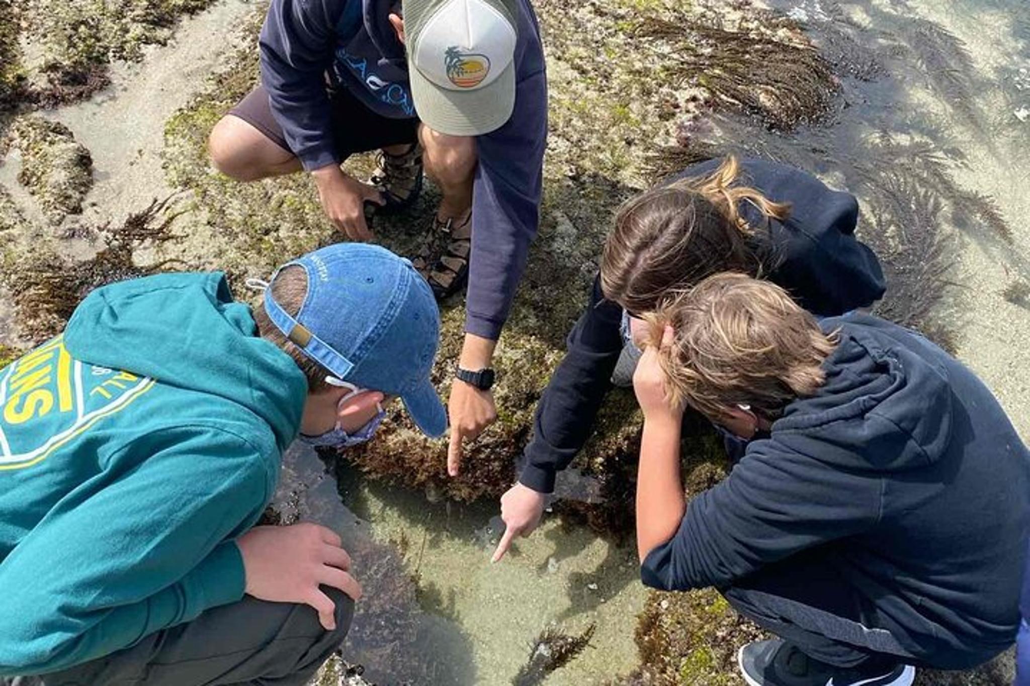 San Diego Tide Pool Tour with Marine Biologist - Image 5
