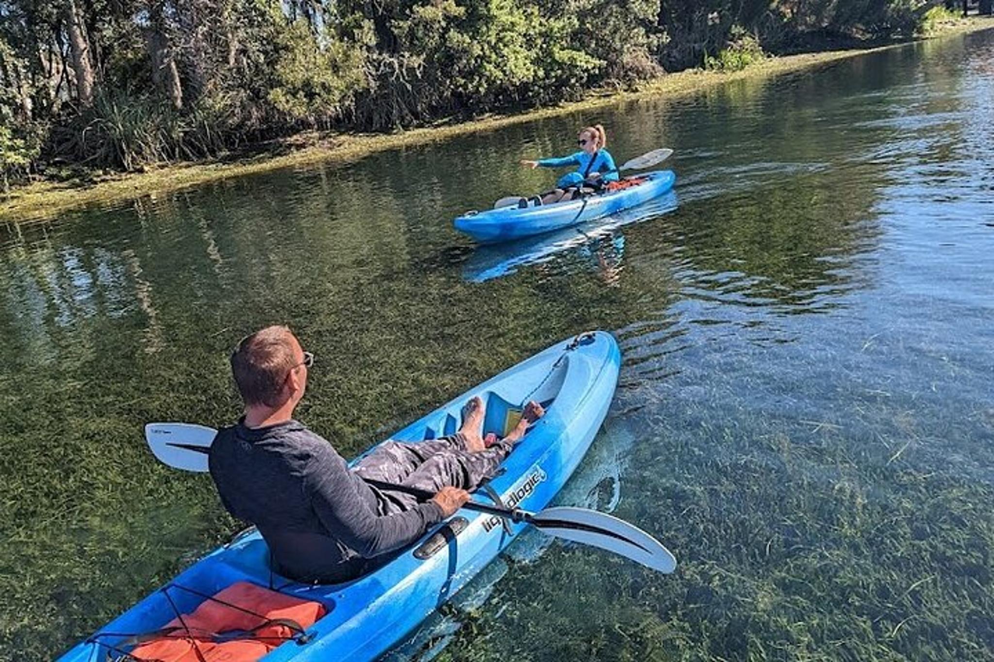 Crystal River Kayak Rental with Manatee Viewing 3 hr - Image 4