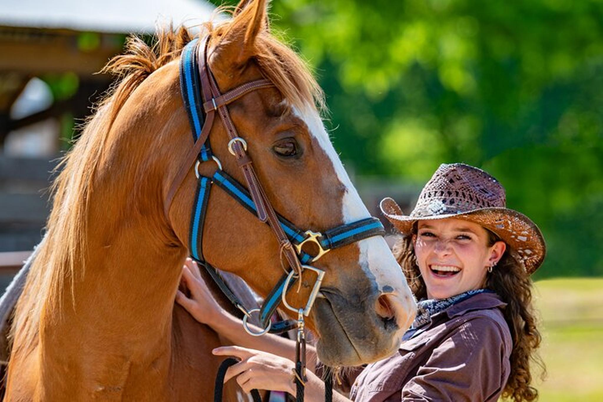 Memphis Horseback Ride at Sunset - Image 2