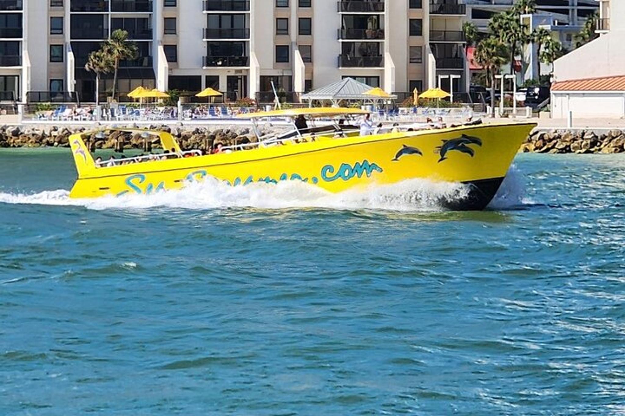 Clearwater Dolphin Watching Speed Boat Tour - Image 6